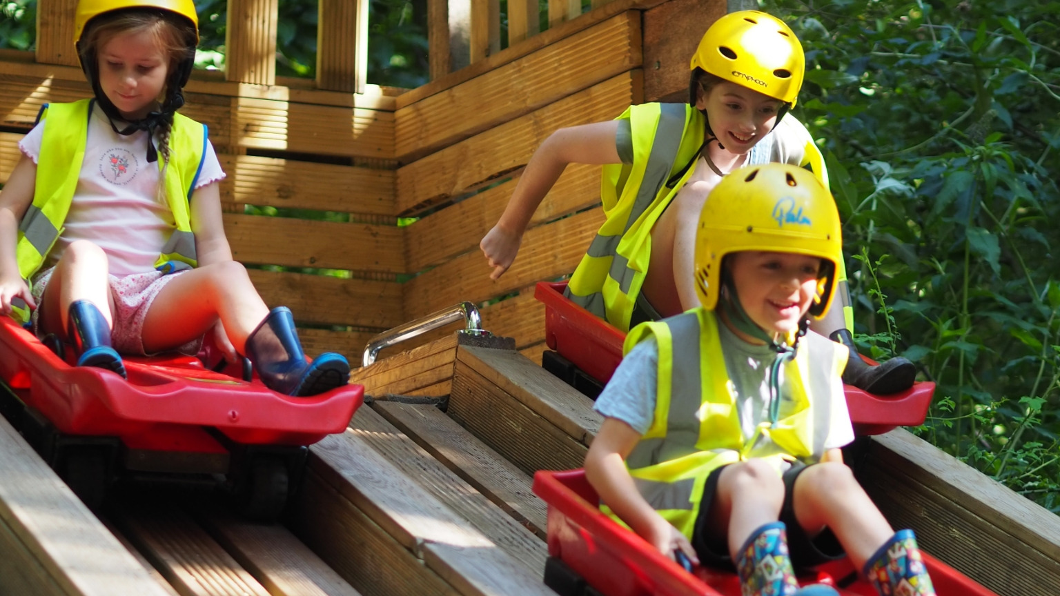 undefined-The Treehouse Club-5