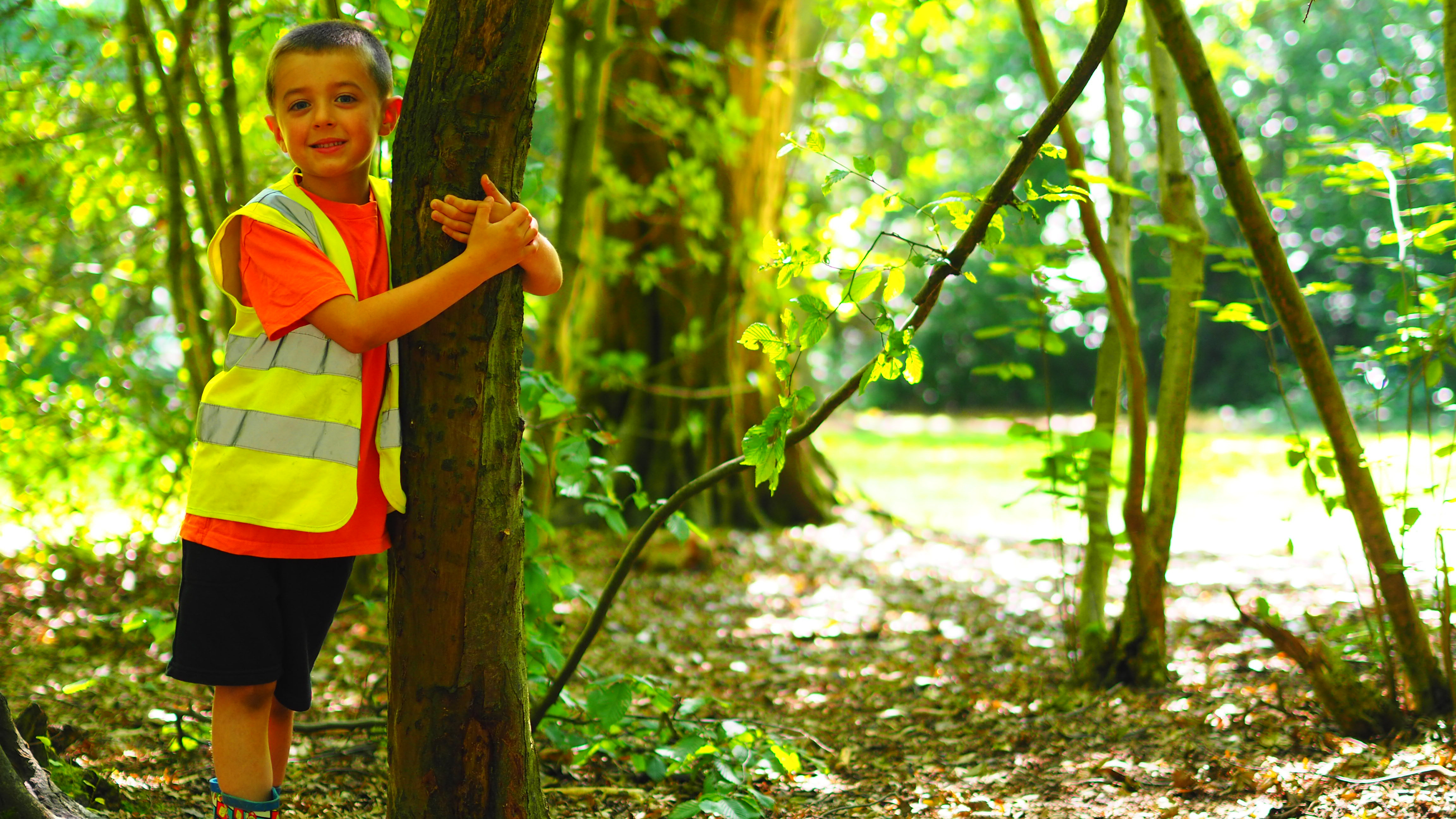 undefined-The Treehouse Club-4