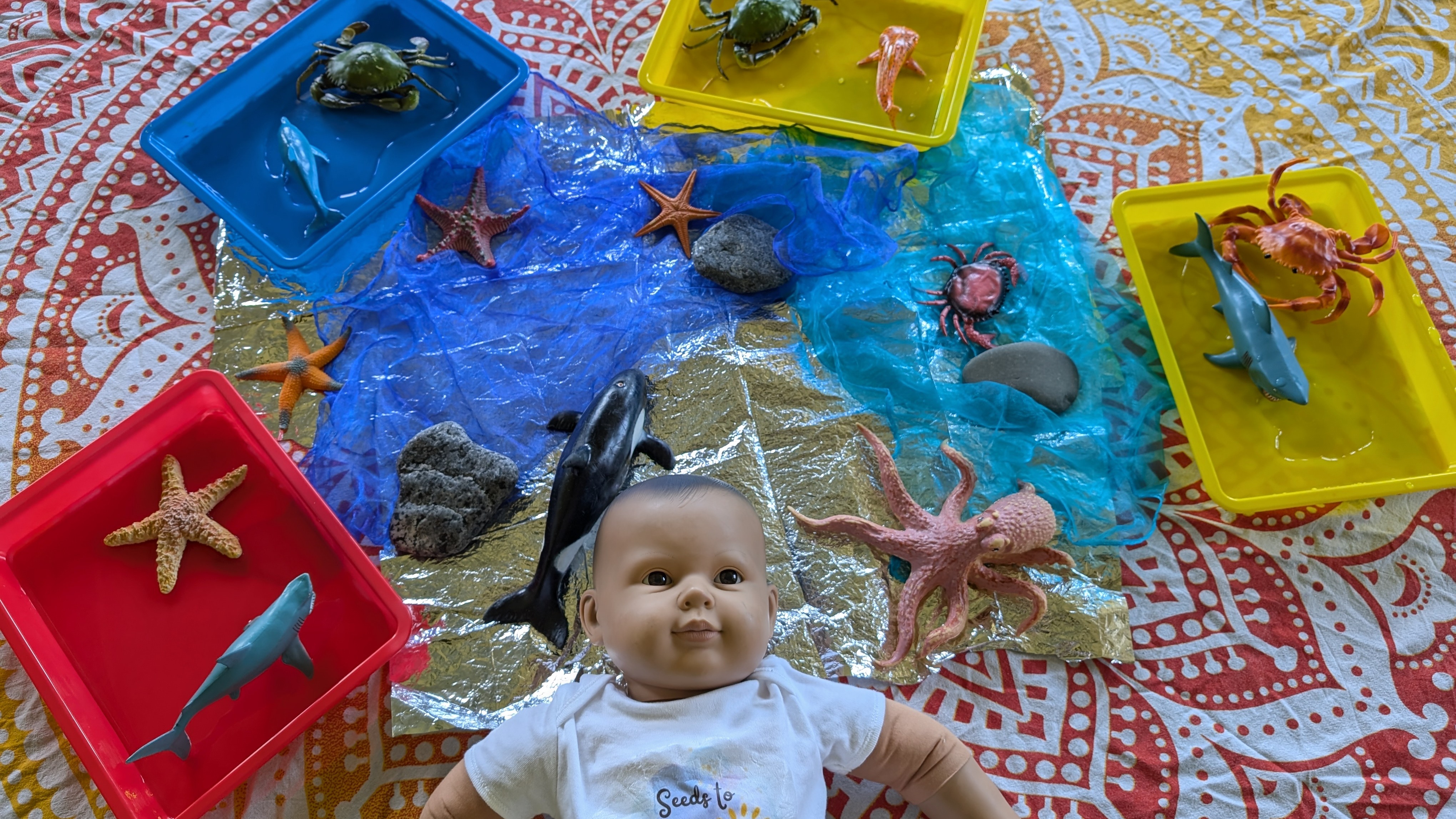 Little Feet, Big Adventures!! — photo 3