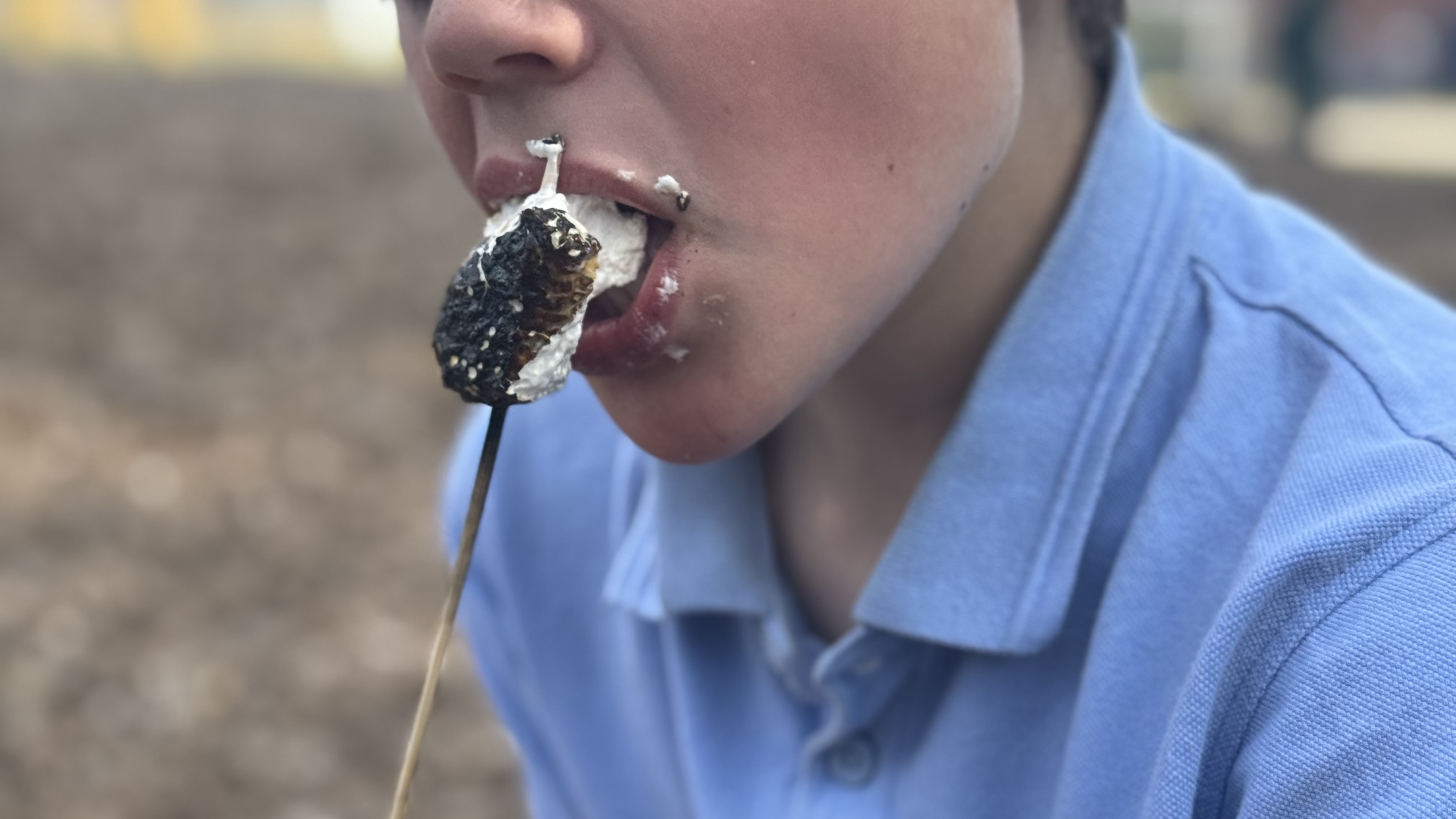 Outdoor Learning and Forest Activities- OLOTR-Autumn 1 — photo 3
