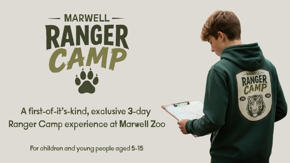 Marwell Ranger Camp - October Half Term - 27-29 October