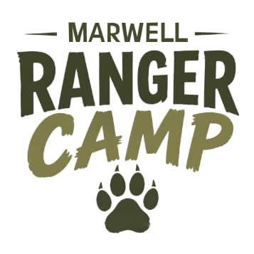 Marwell Ranger Camps