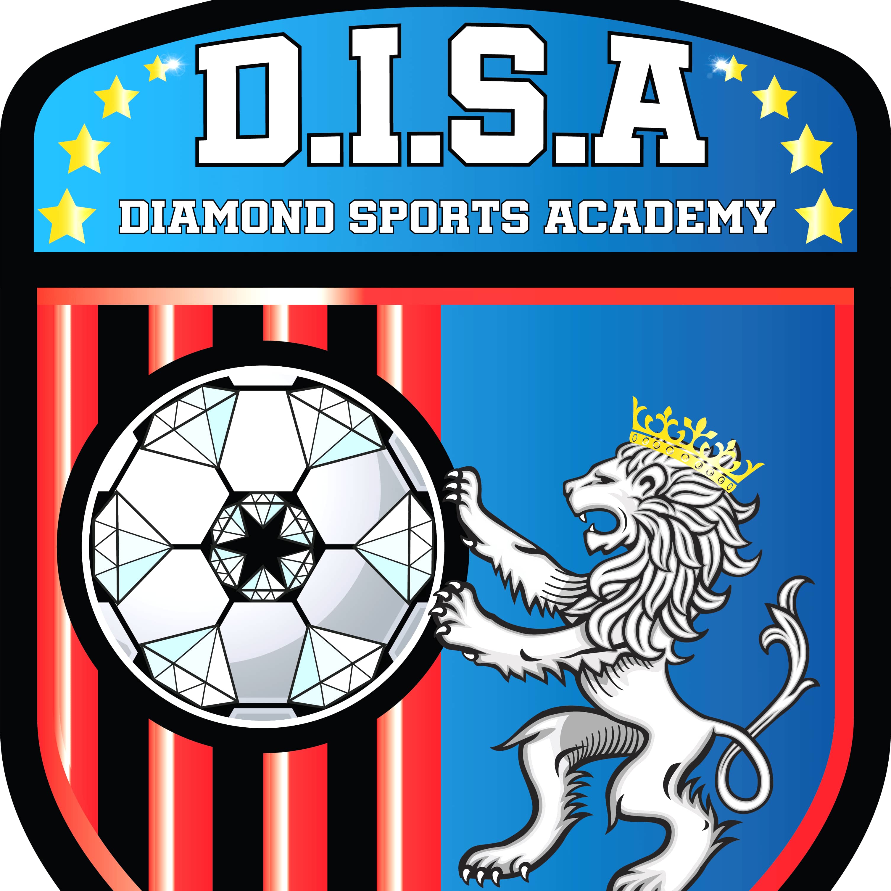 Diamond International Sports Academy