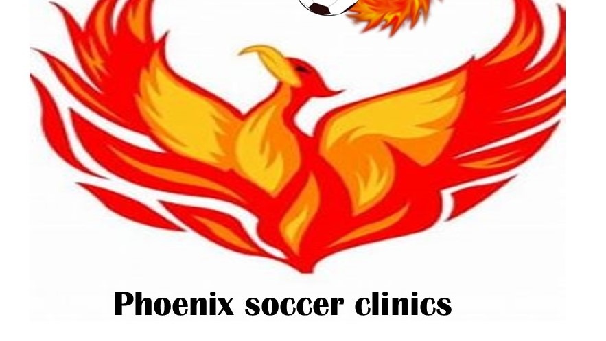 Phoenix Cherries - Diamond International Sports Academy