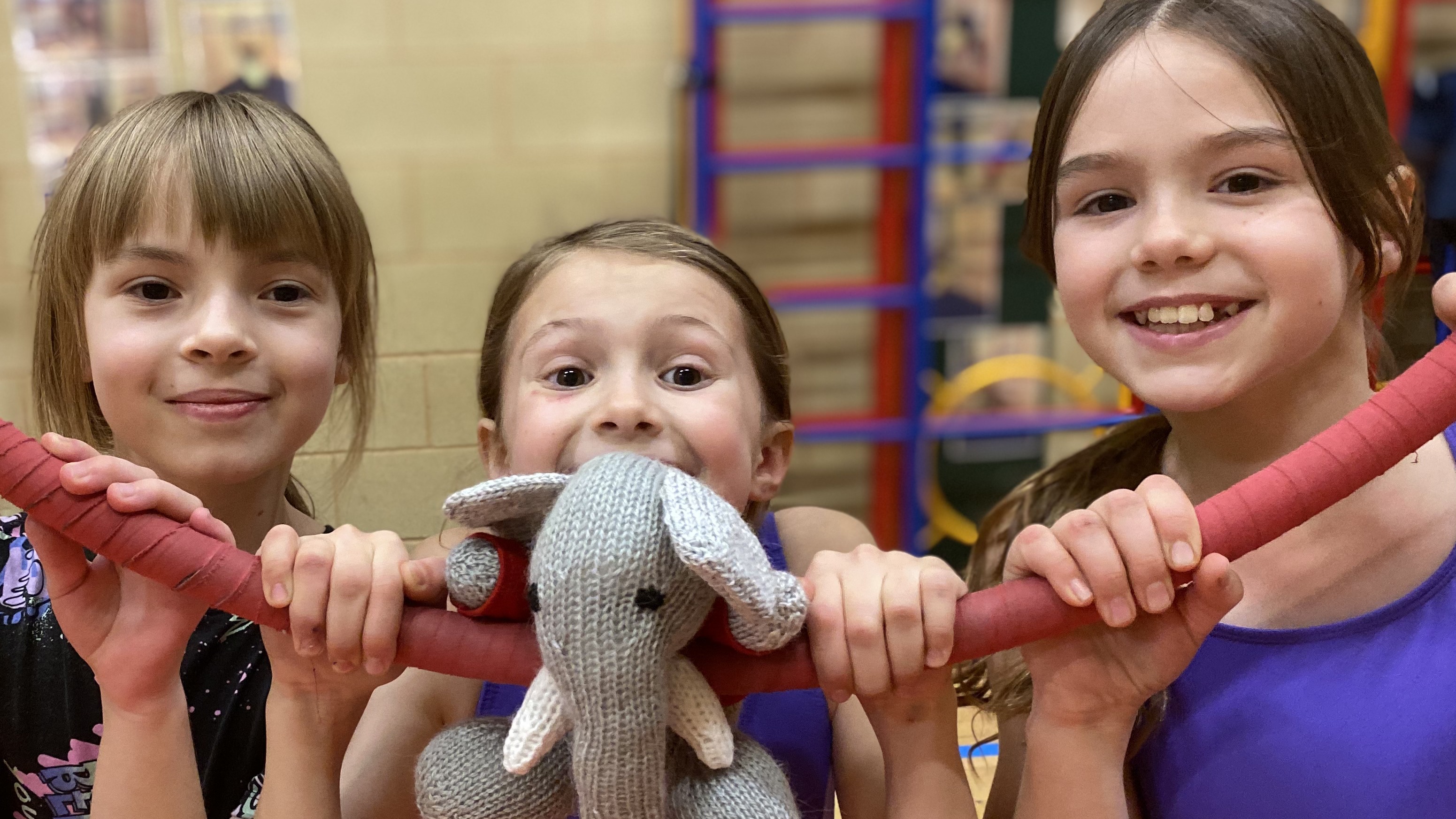 High Flyers - Showtime Circus Woking