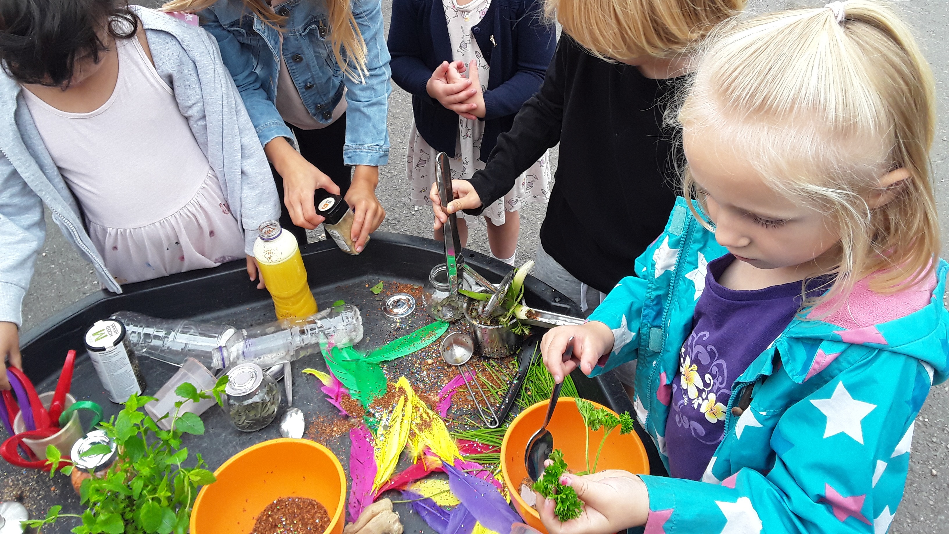 undefined-Acorn Early Years-5