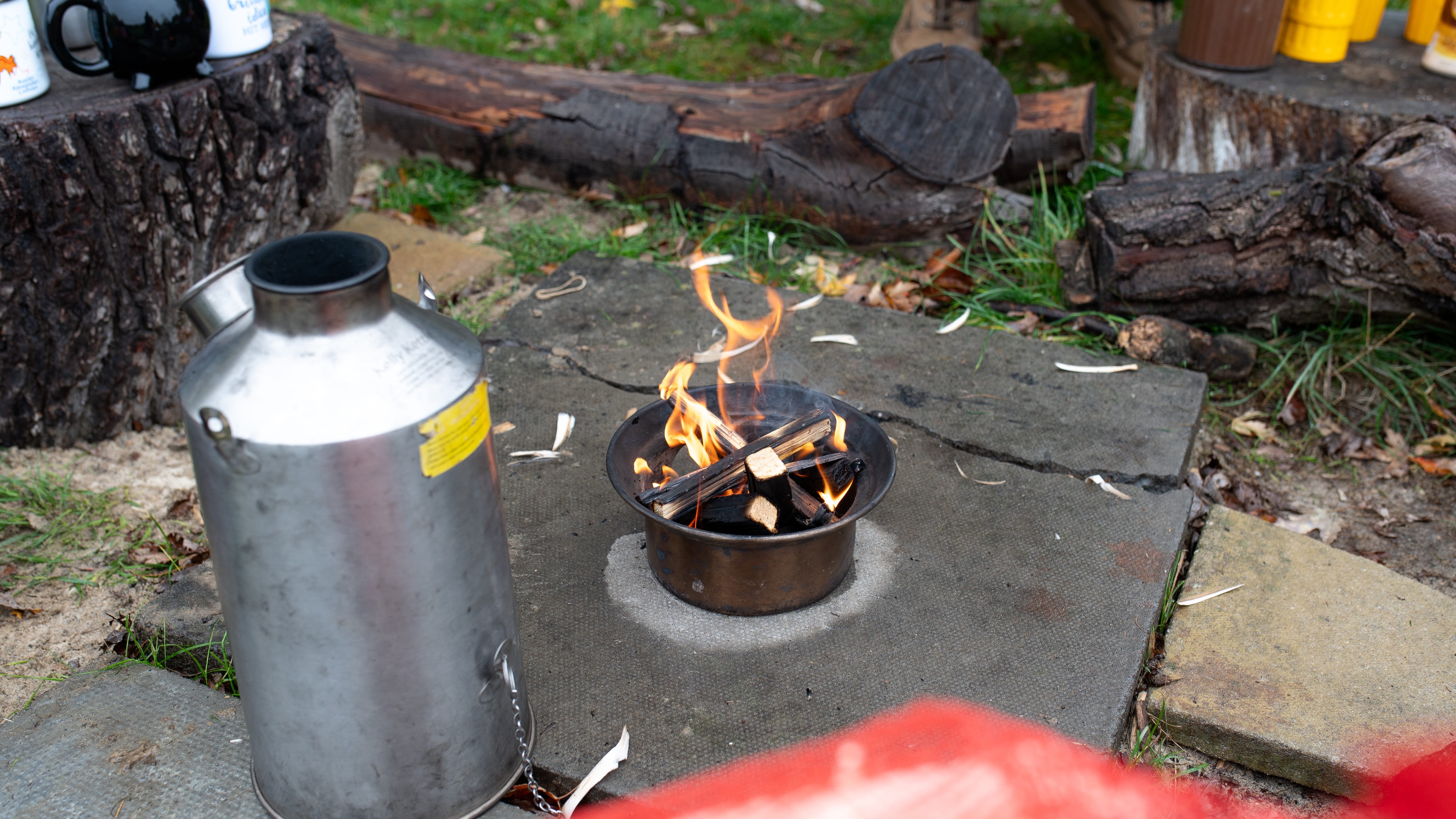 undefined-Acorn Early Years-7