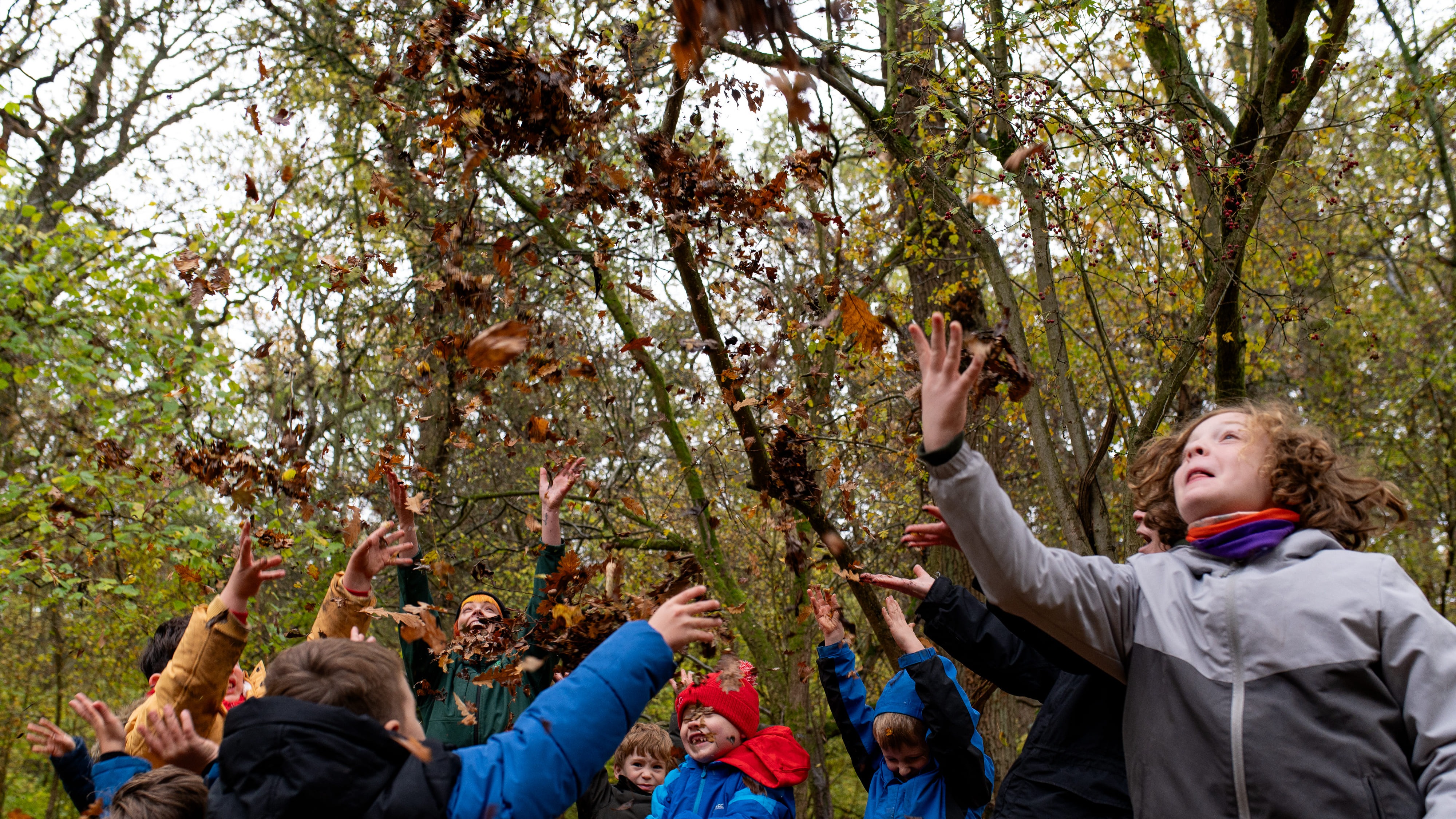 undefined-Acorn Early Years-1