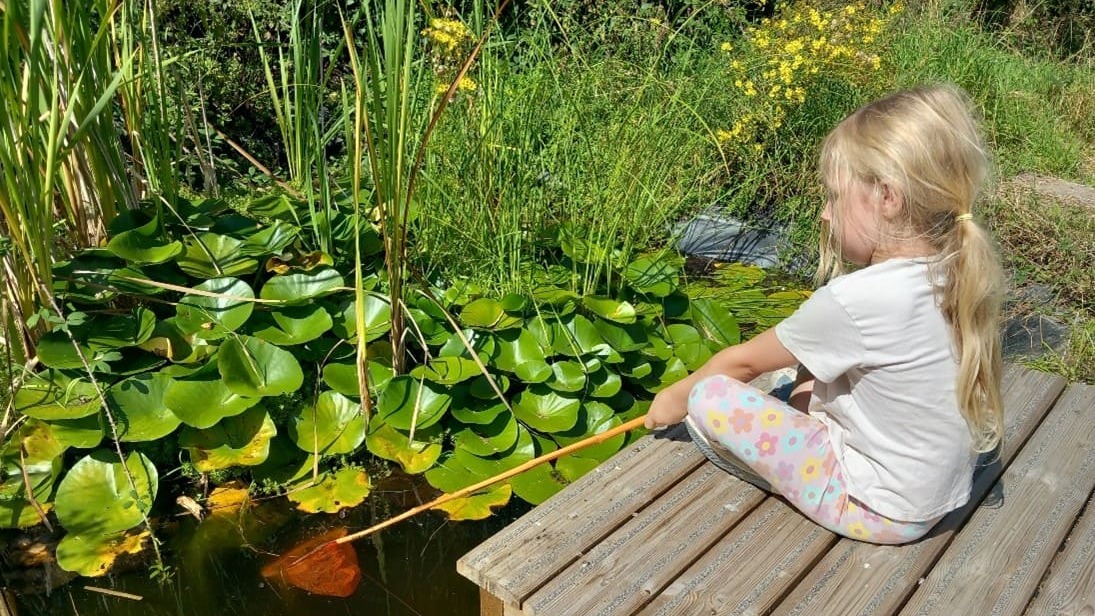 undefined-Acorn Early Years-2