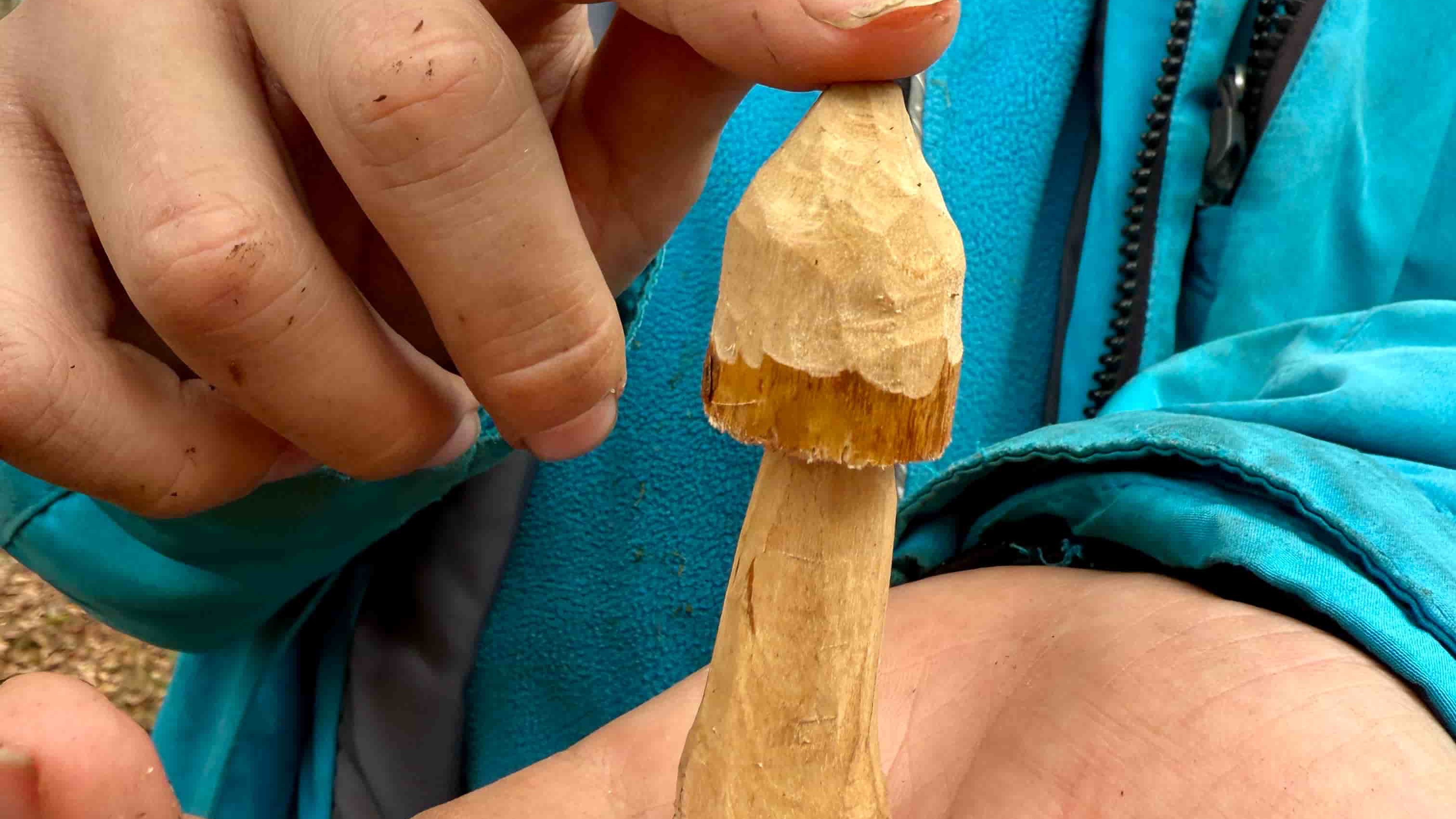 undefined-Wild Tribe - Highlands-6