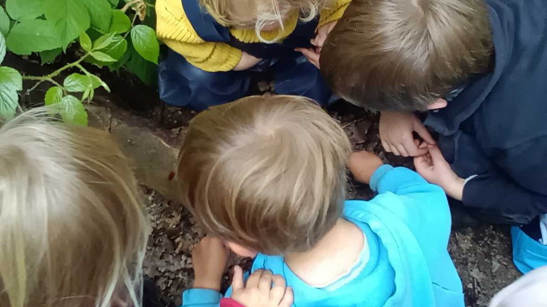 undefined-Little Adventurers Forest School-4