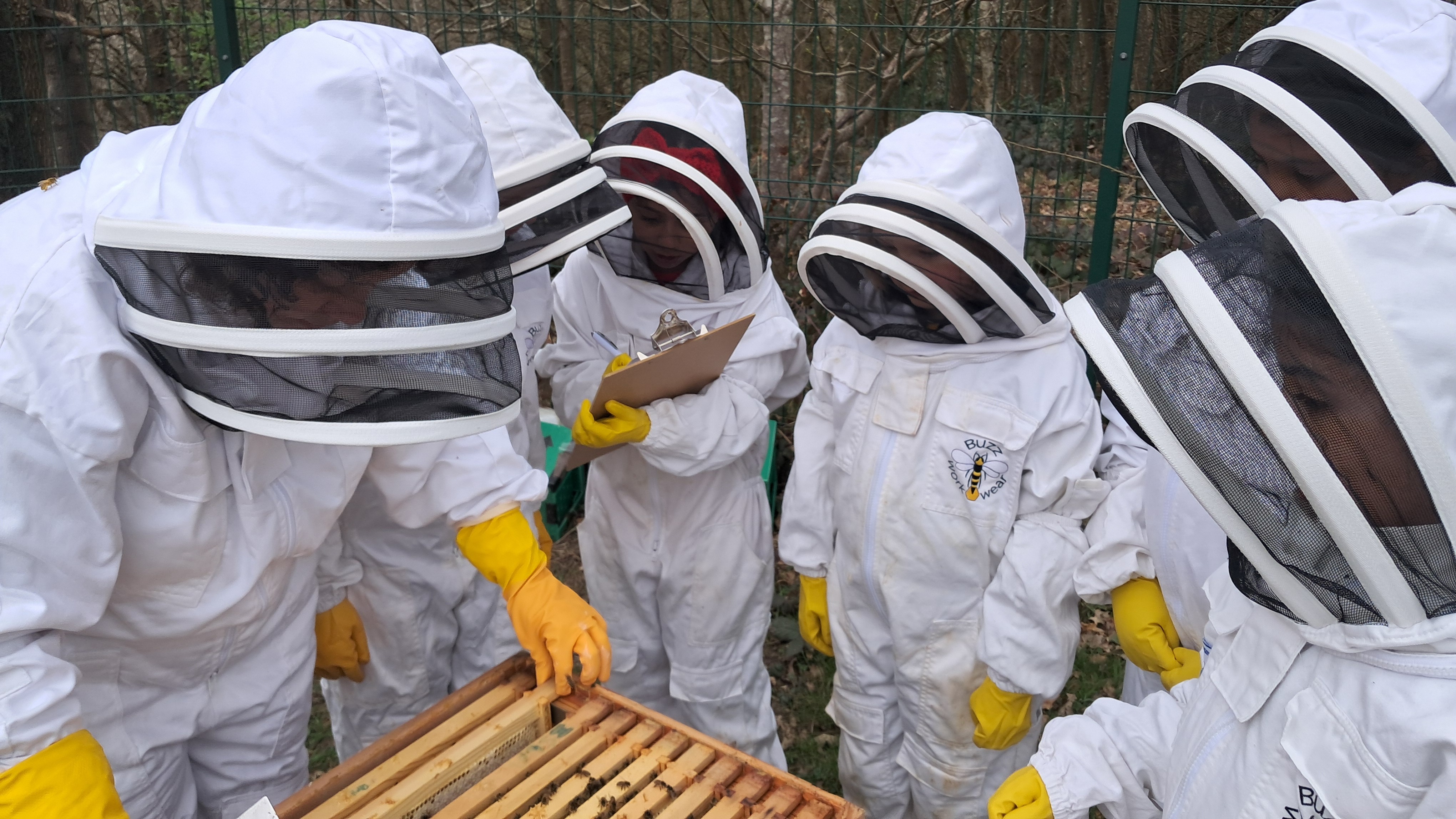 undefined-Mrs Burney's Bee Club CIC-5