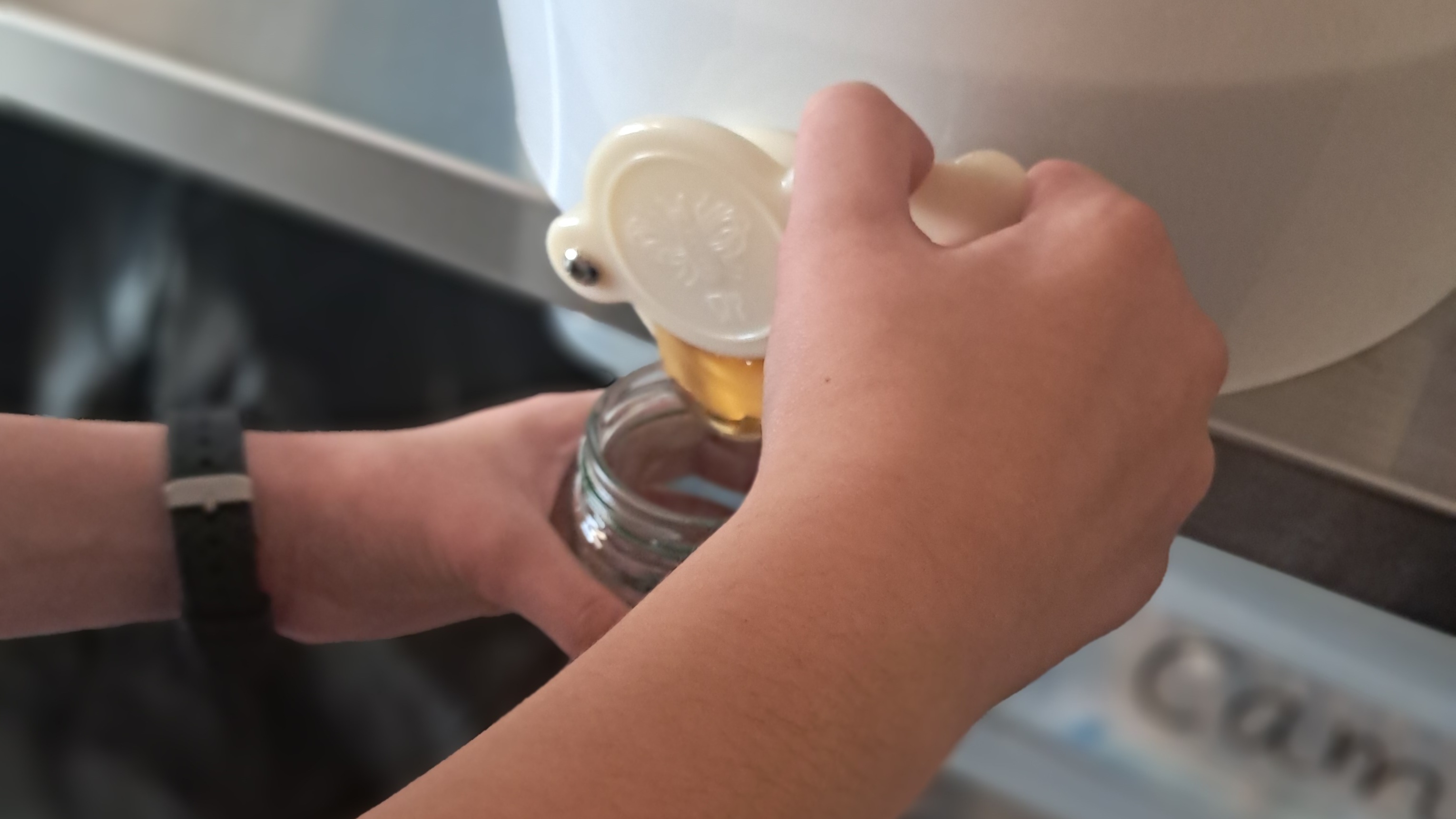 undefined-Mrs Burney's Bee Club CIC-4