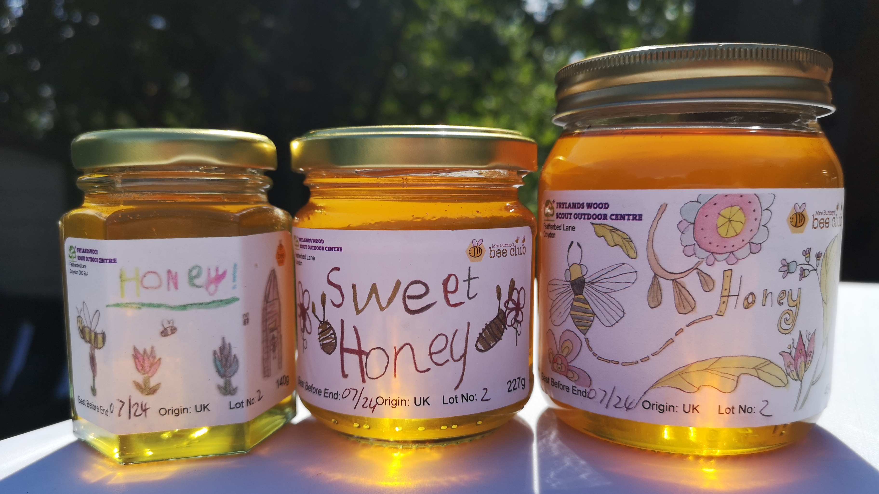 Bee Workshop at Your Venue-Mrs Burney's Bee Club CIC-0