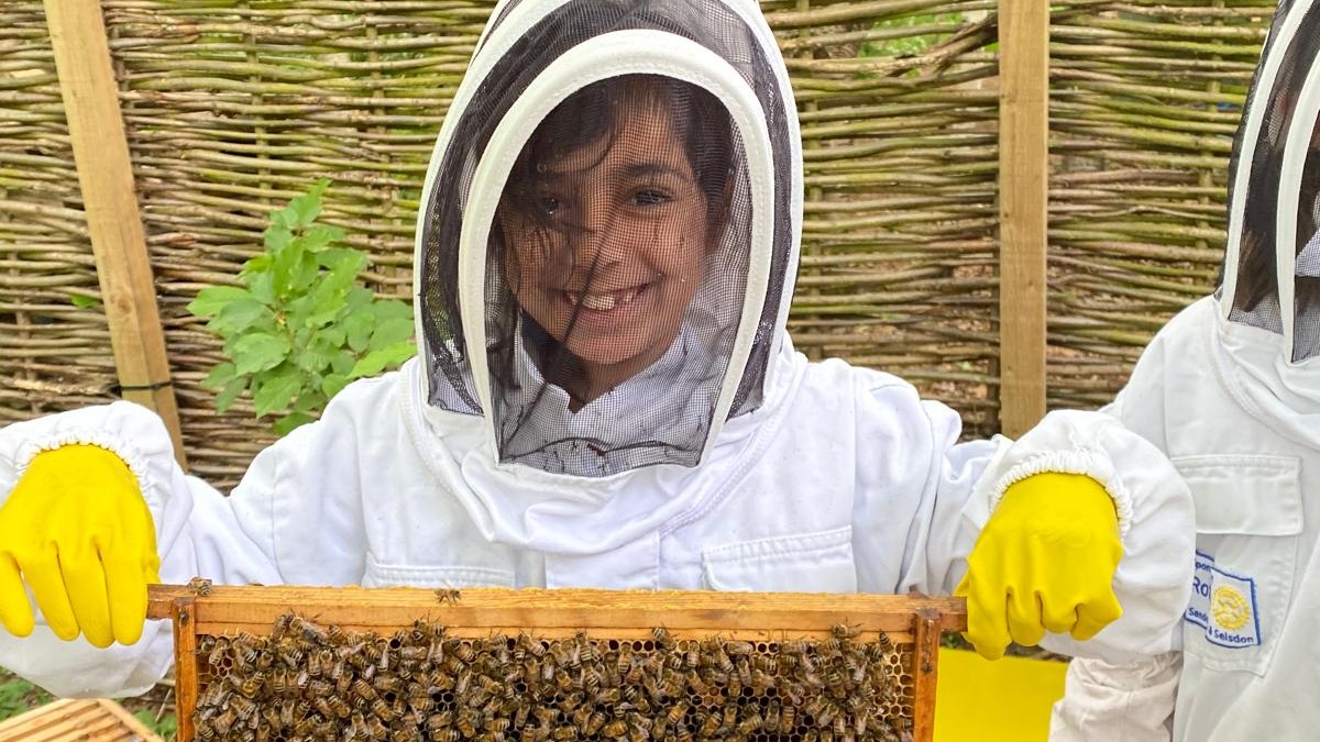 undefined-Mrs Burney's Bee Club CIC-1