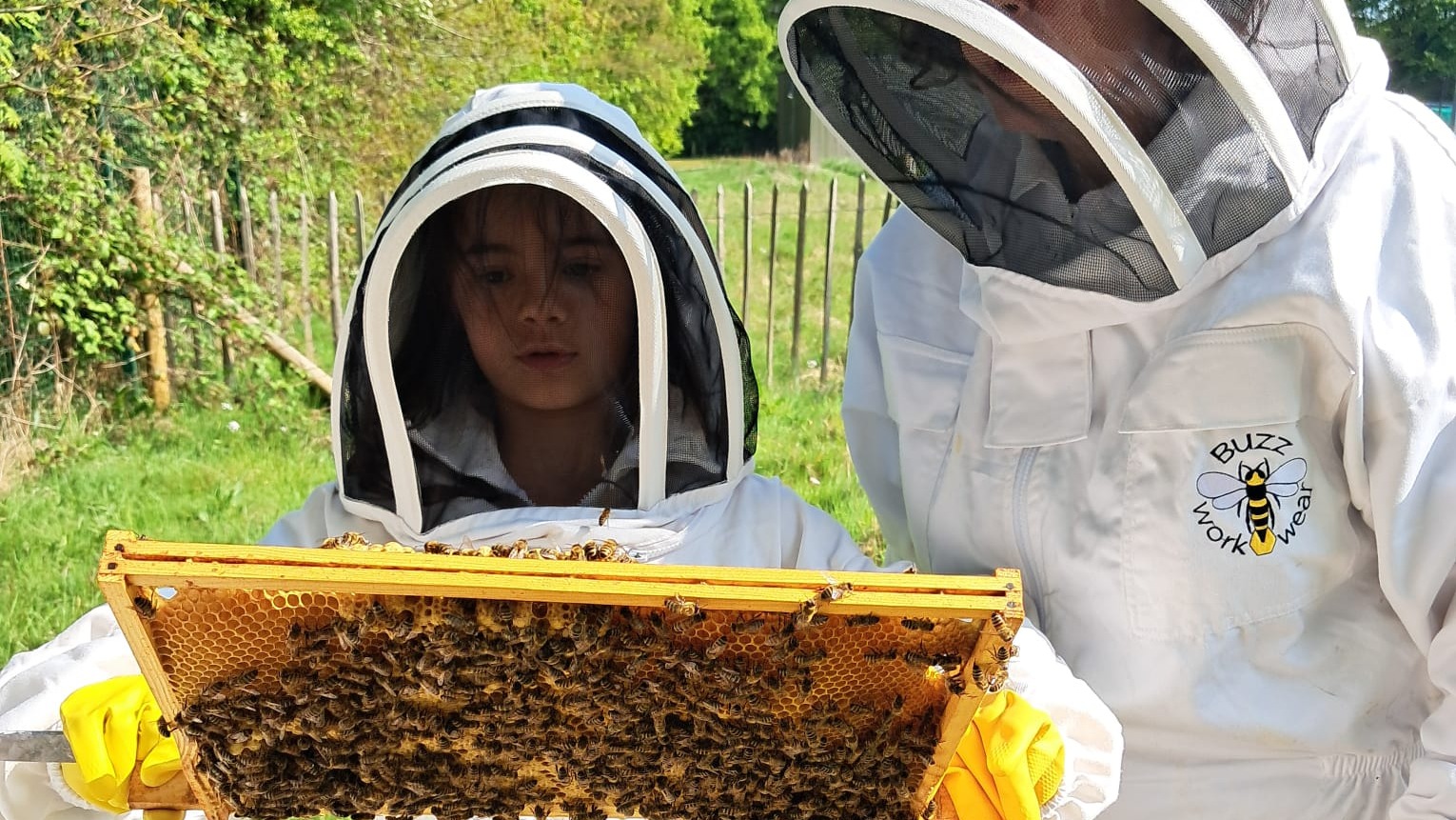 undefined-Mrs Burney's Bee Club CIC-3