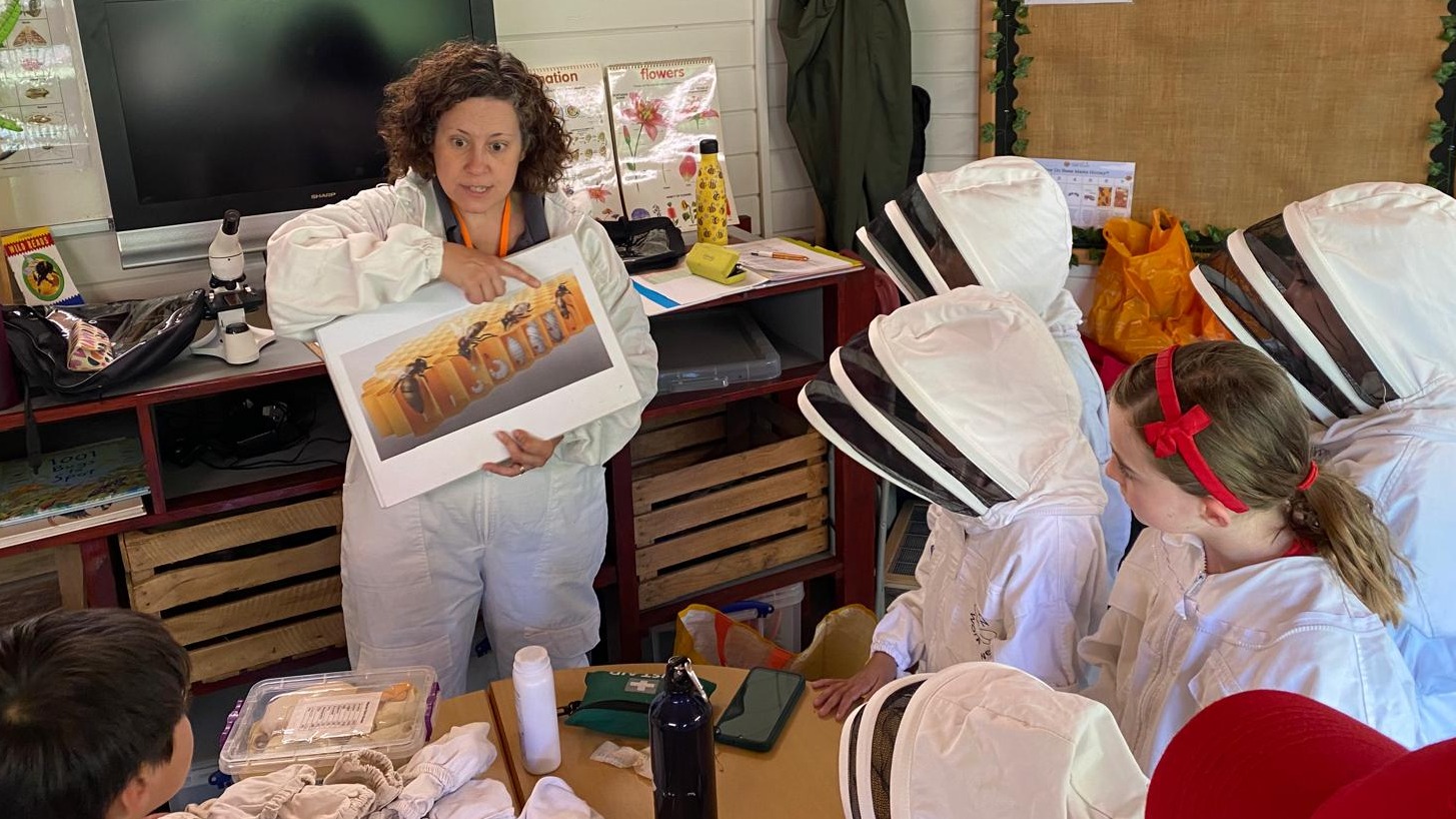 Marian Vian Junior Bee Club — photo 4