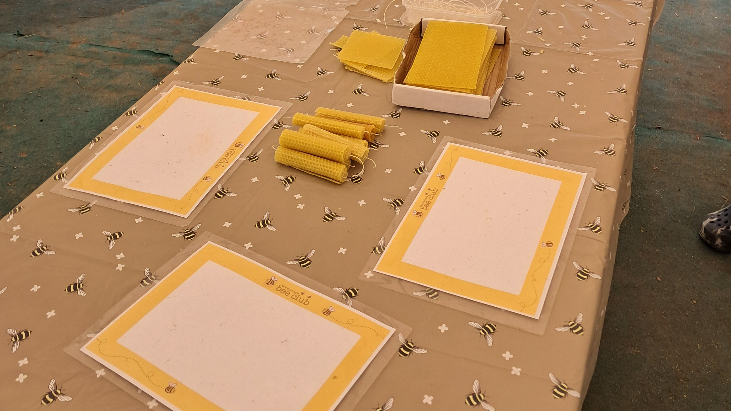 Bee Workshop at Your Venue-Mrs Burney's Bee Club CIC-1