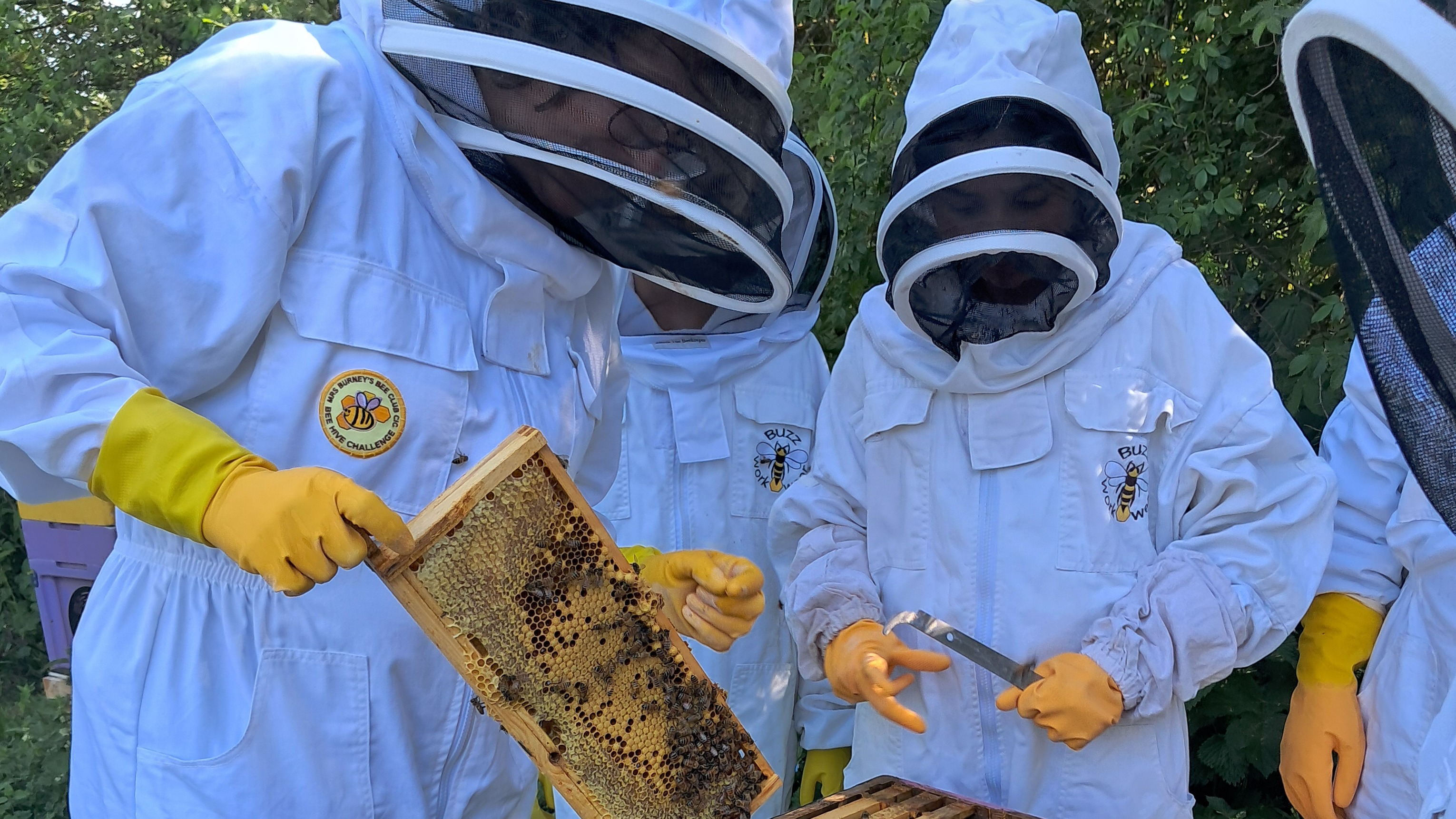 undefined-Mrs Burney's Bee Club CIC-2