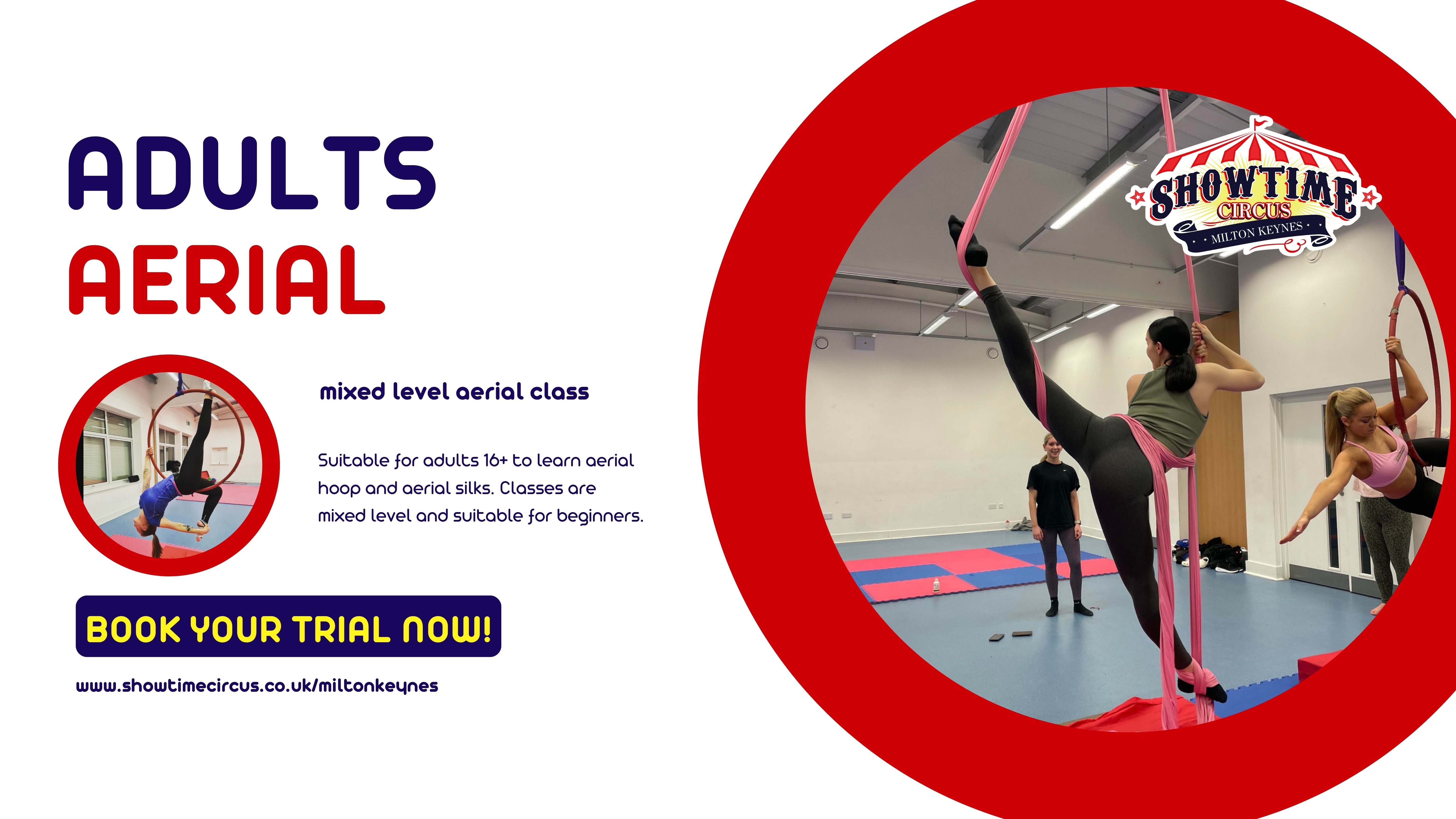 Adults aerial class - Mixed level