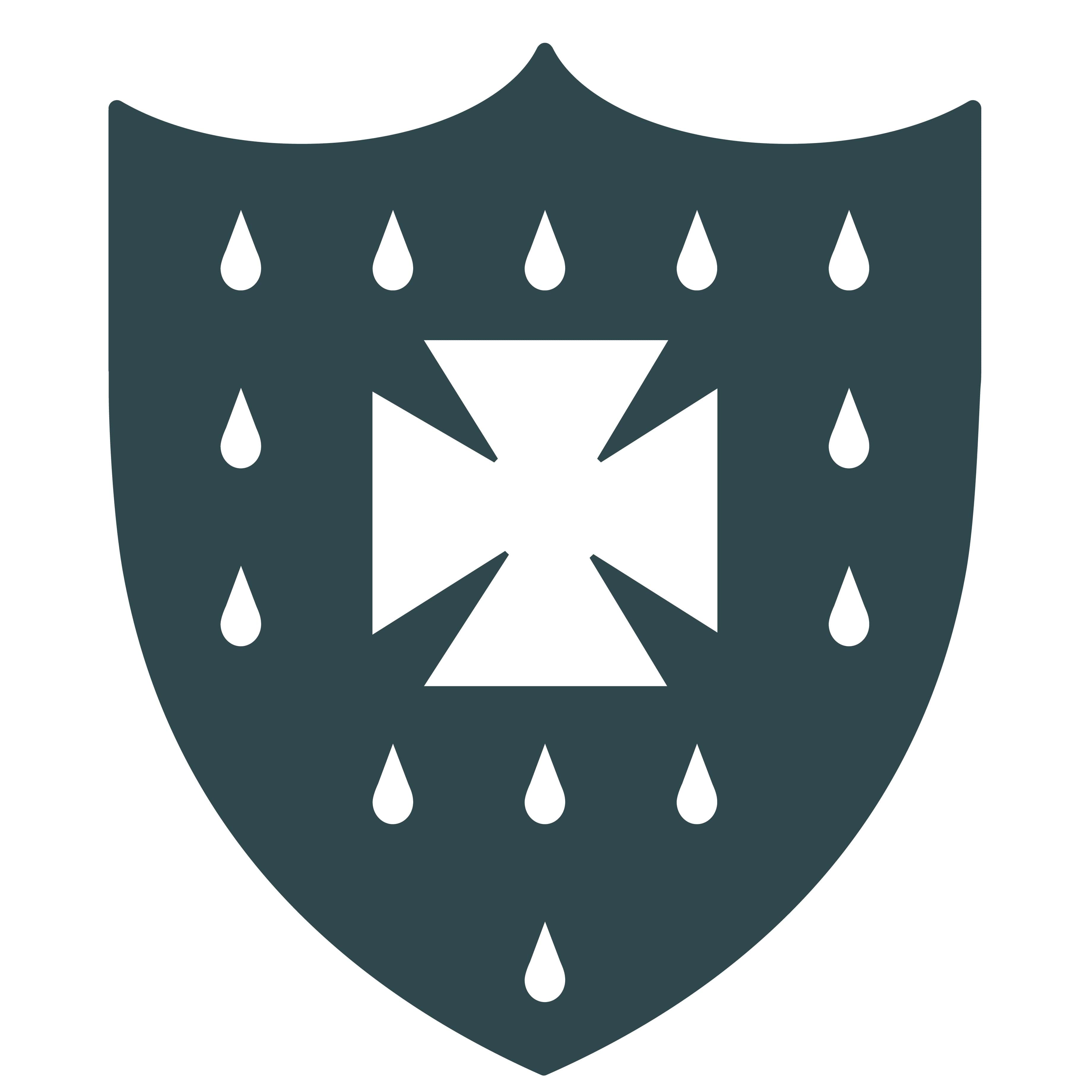 S.Anselm's School