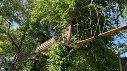 Teen Scheme @ Go Ape, Itchen Valley-Personal Best Education-2