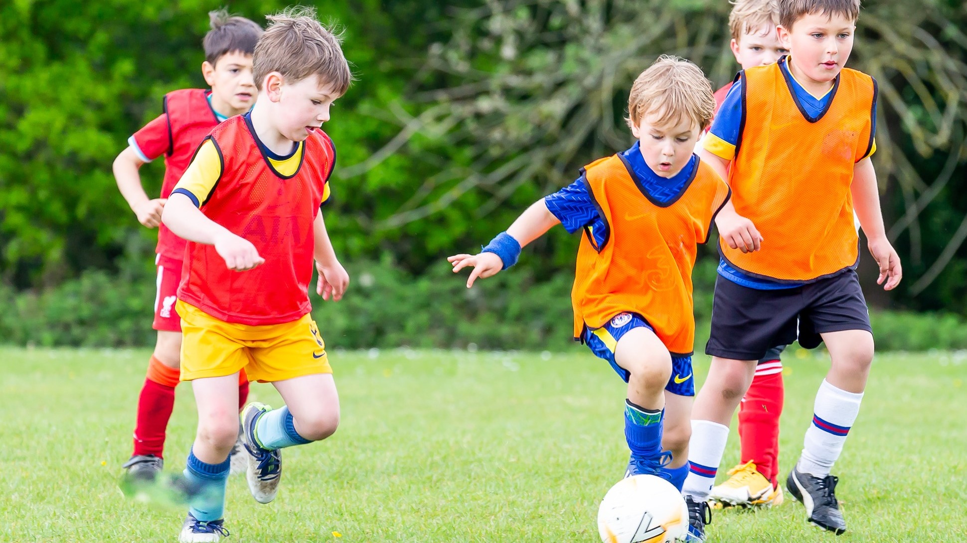 undefined-Ultimate Coaching-1