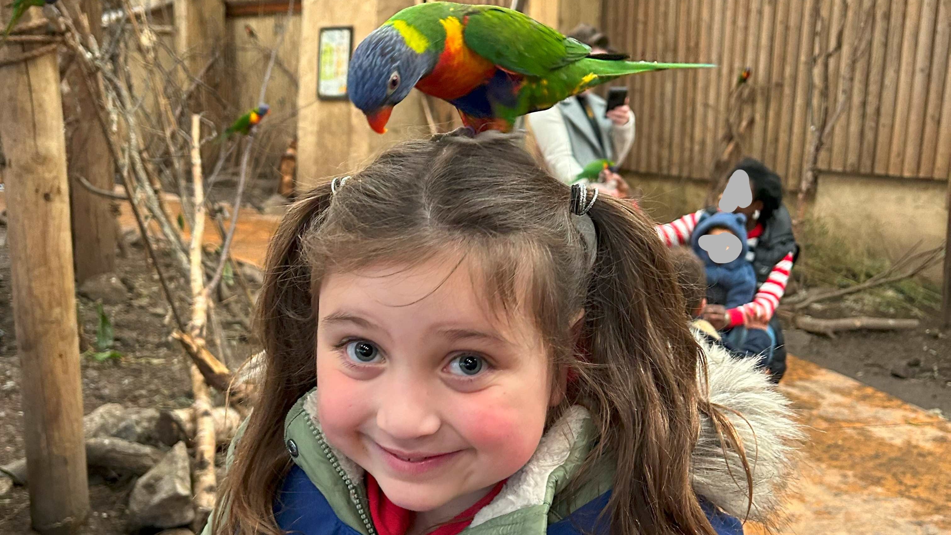 undefined-King's Worcester-5