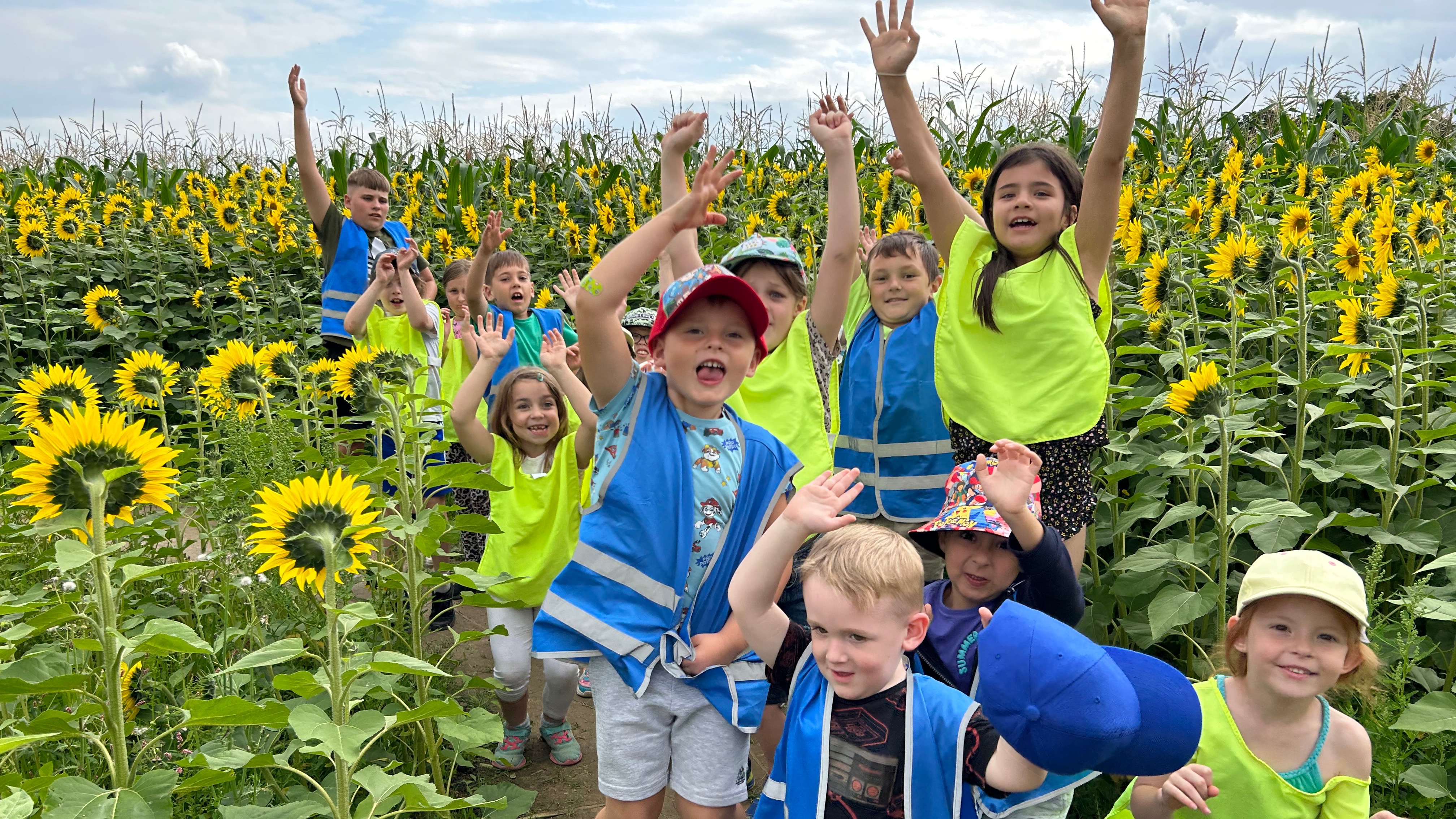 undefined-Sunflowers Out of School Care-0