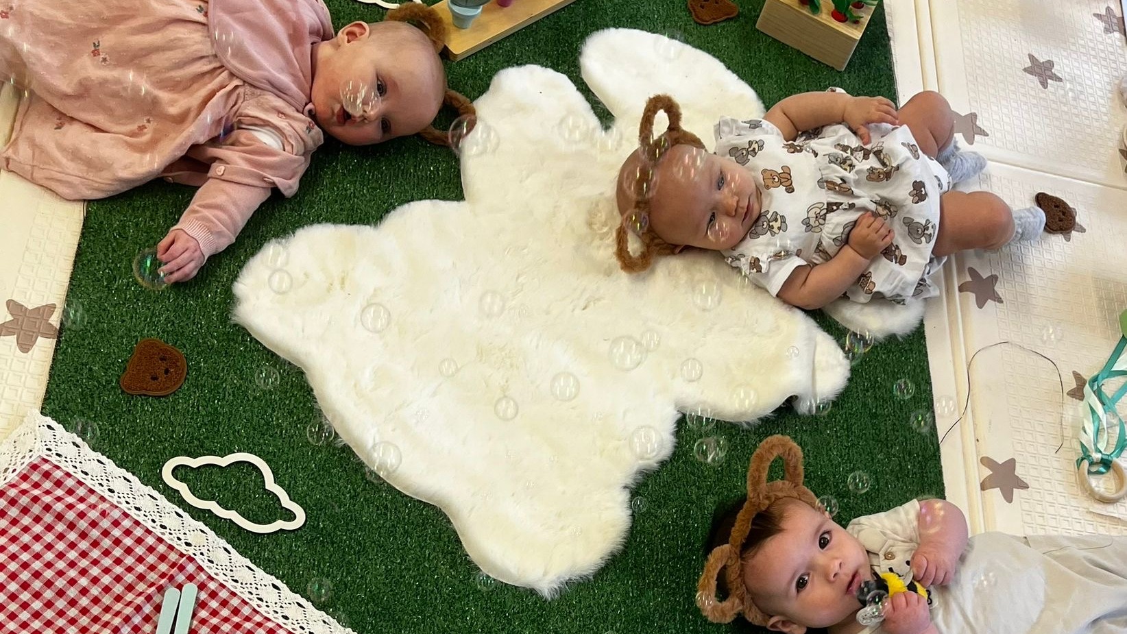 undefined-Little Roots-3