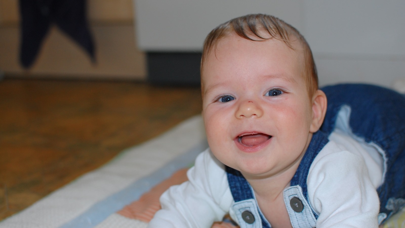 Bouncing Beans - Babies over 6 months old — photo 2
