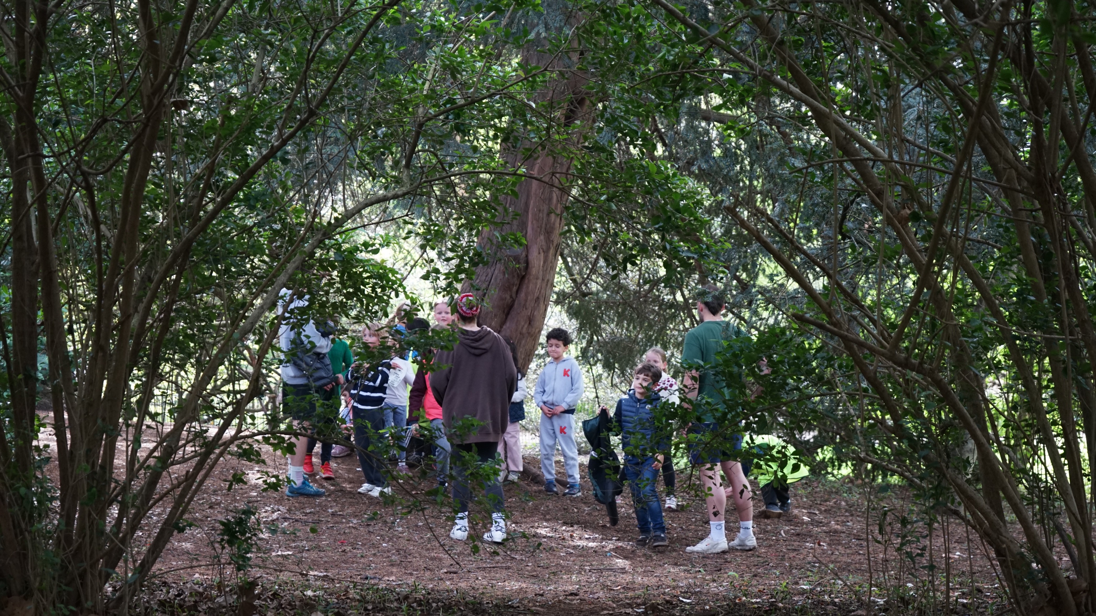 undefined-Archie's-6