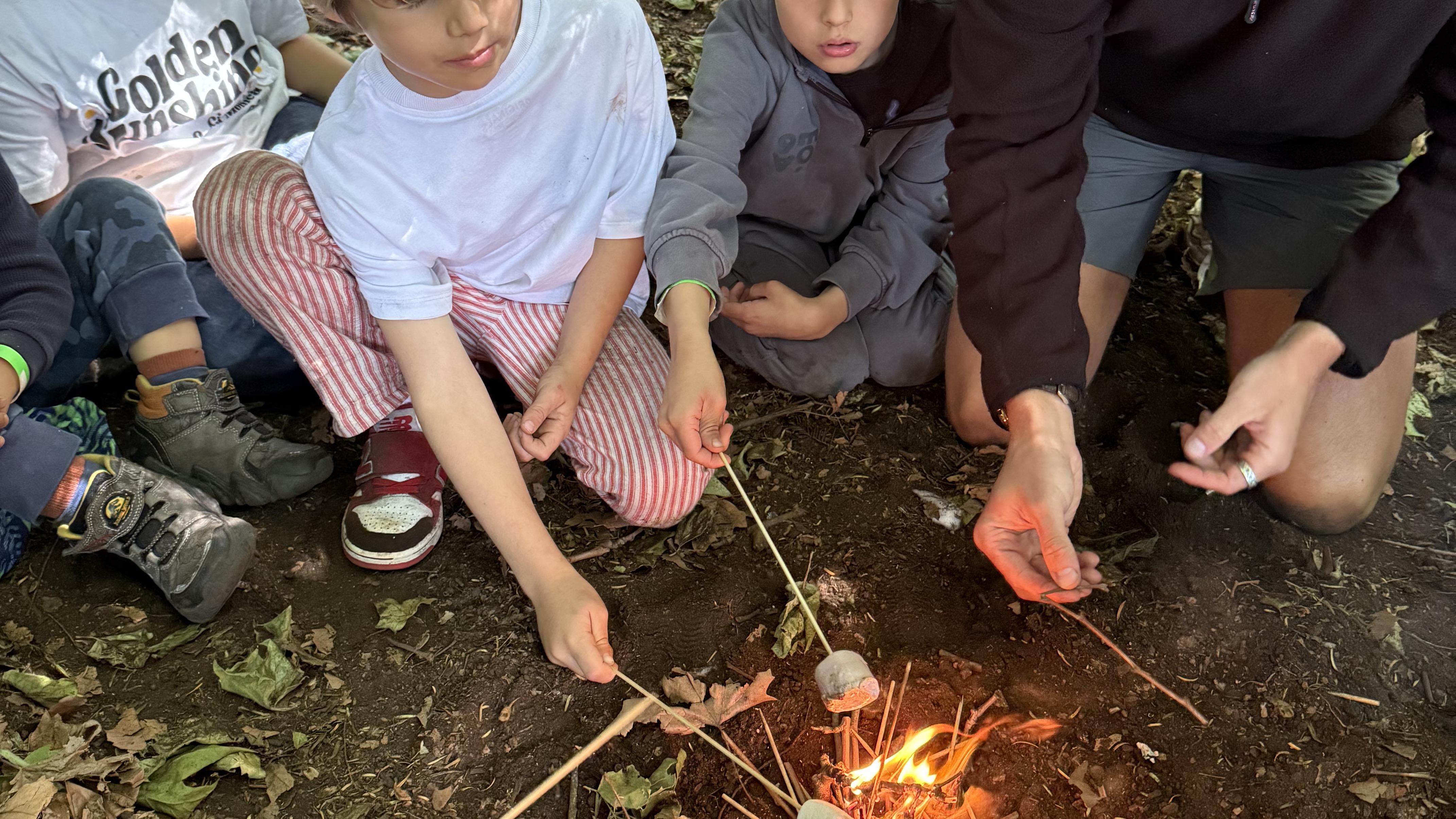 undefined-Archie's-5