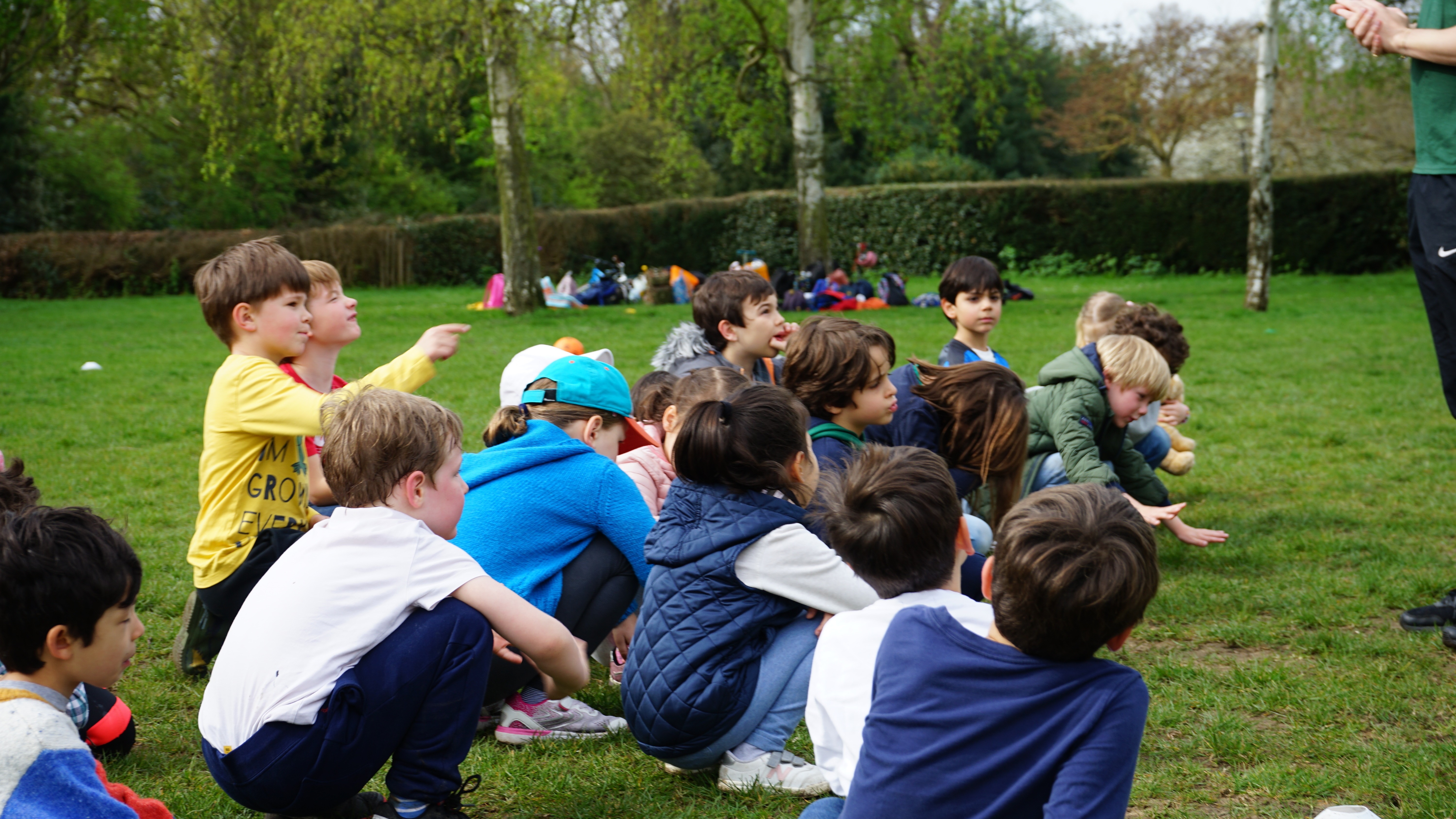 undefined-Archie's-4