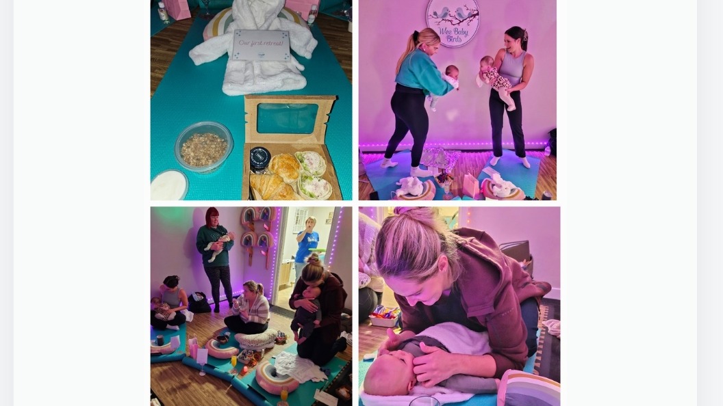 undefined-Wee Baby Birds-4