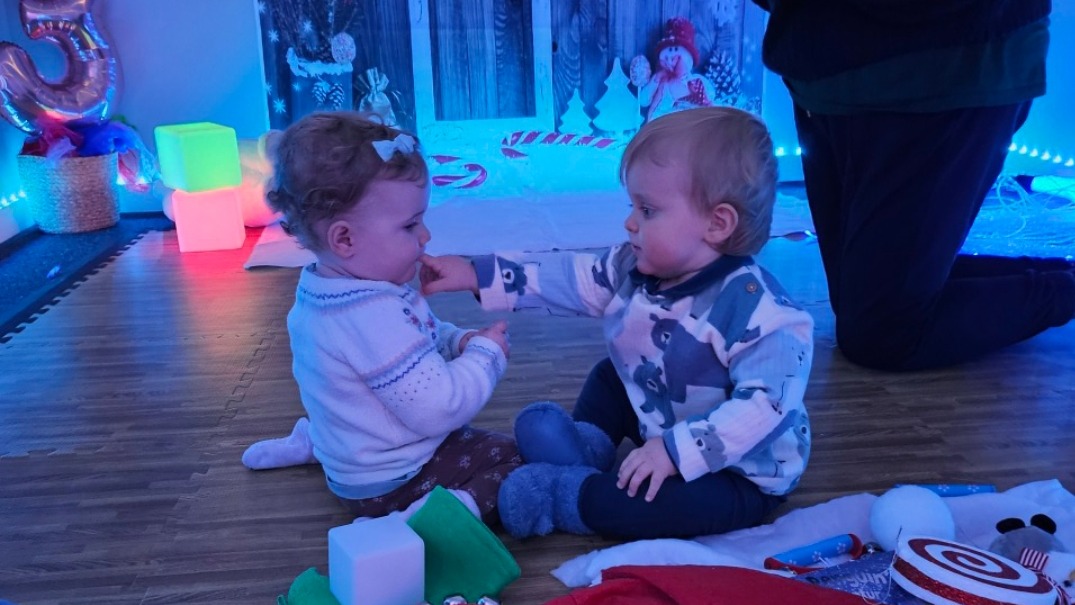 Christmas Special 🎅-Wee Baby Birds-2