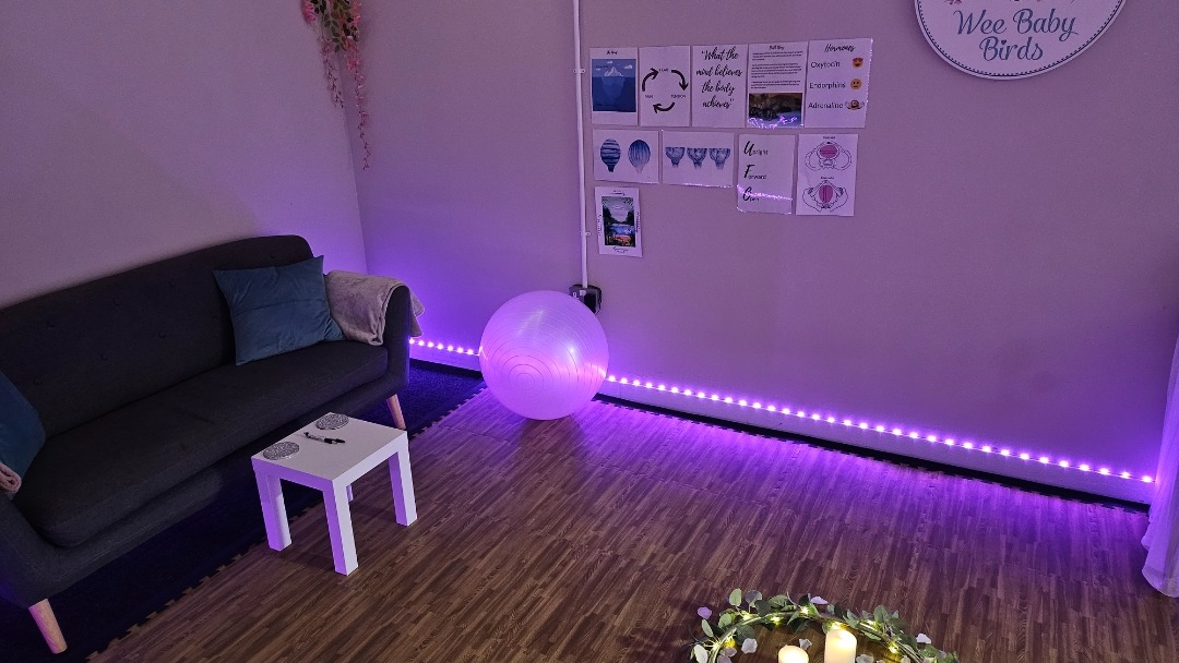 Hypnobirthing Group Course-Wee Baby Birds-1