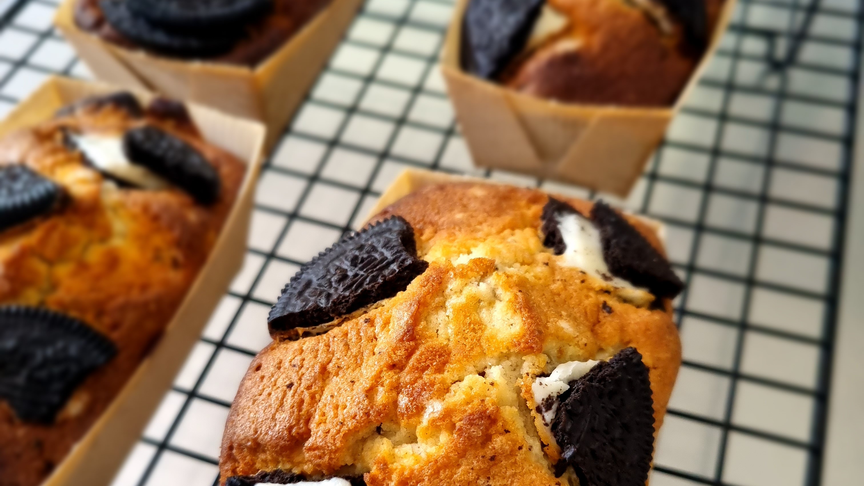 HJS - Hampton Junior School Spring Term 2026-Rana's Delights-3