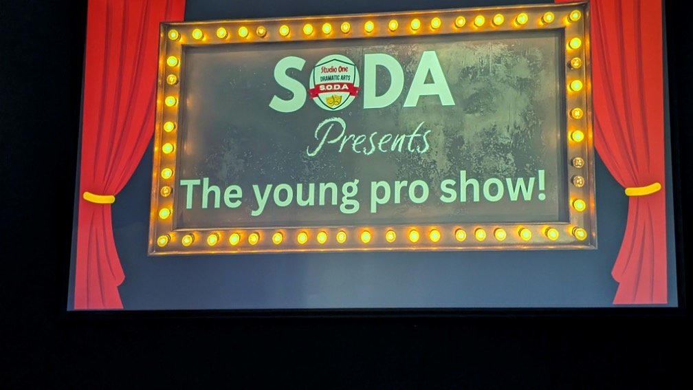 YOUNG PRO COURSE