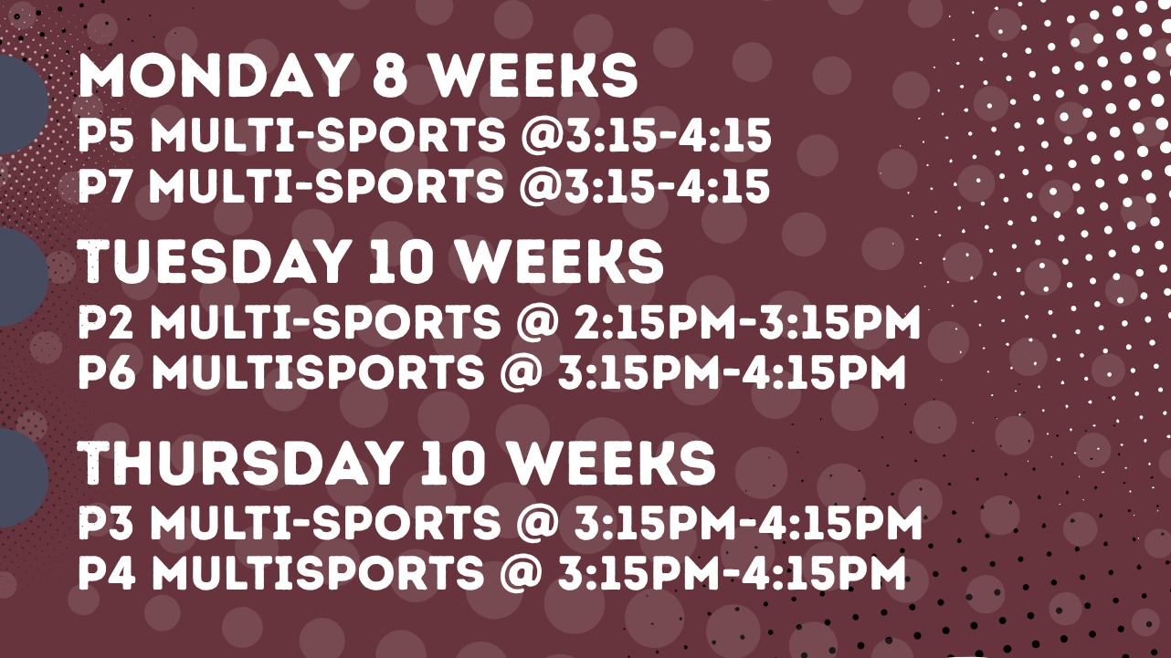 St Patrick's PS Dungannon Term 3 2026-Healthy Kidz-1