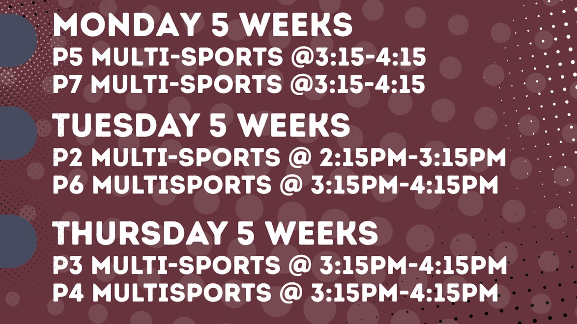 St Patrick's PS Dungannon Term 2 2026-Healthy Kidz-1