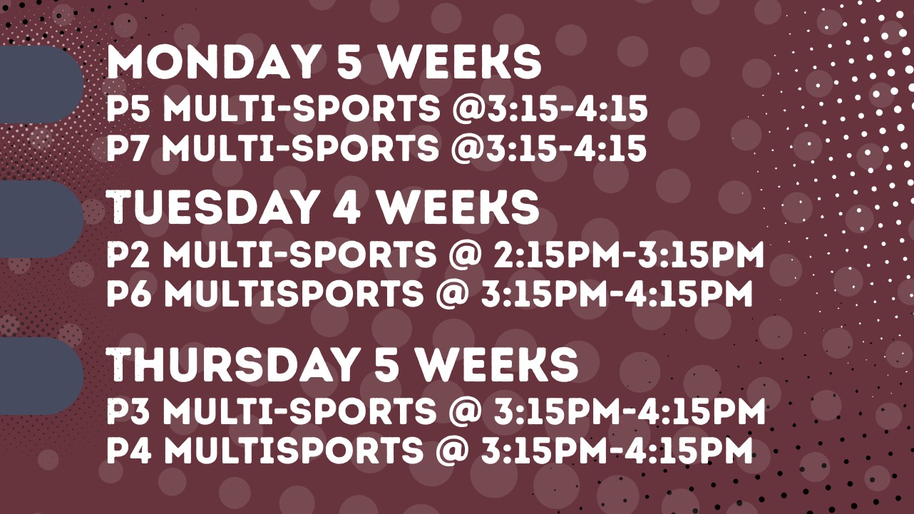 St Patrick's PS Dungannon Term 2 B2 2026-Healthy Kidz-1