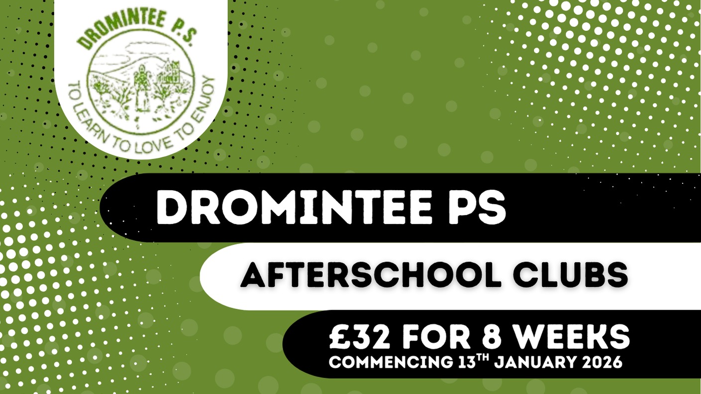 Dromintee PS Term 2 2026-Healthy Kidz-0