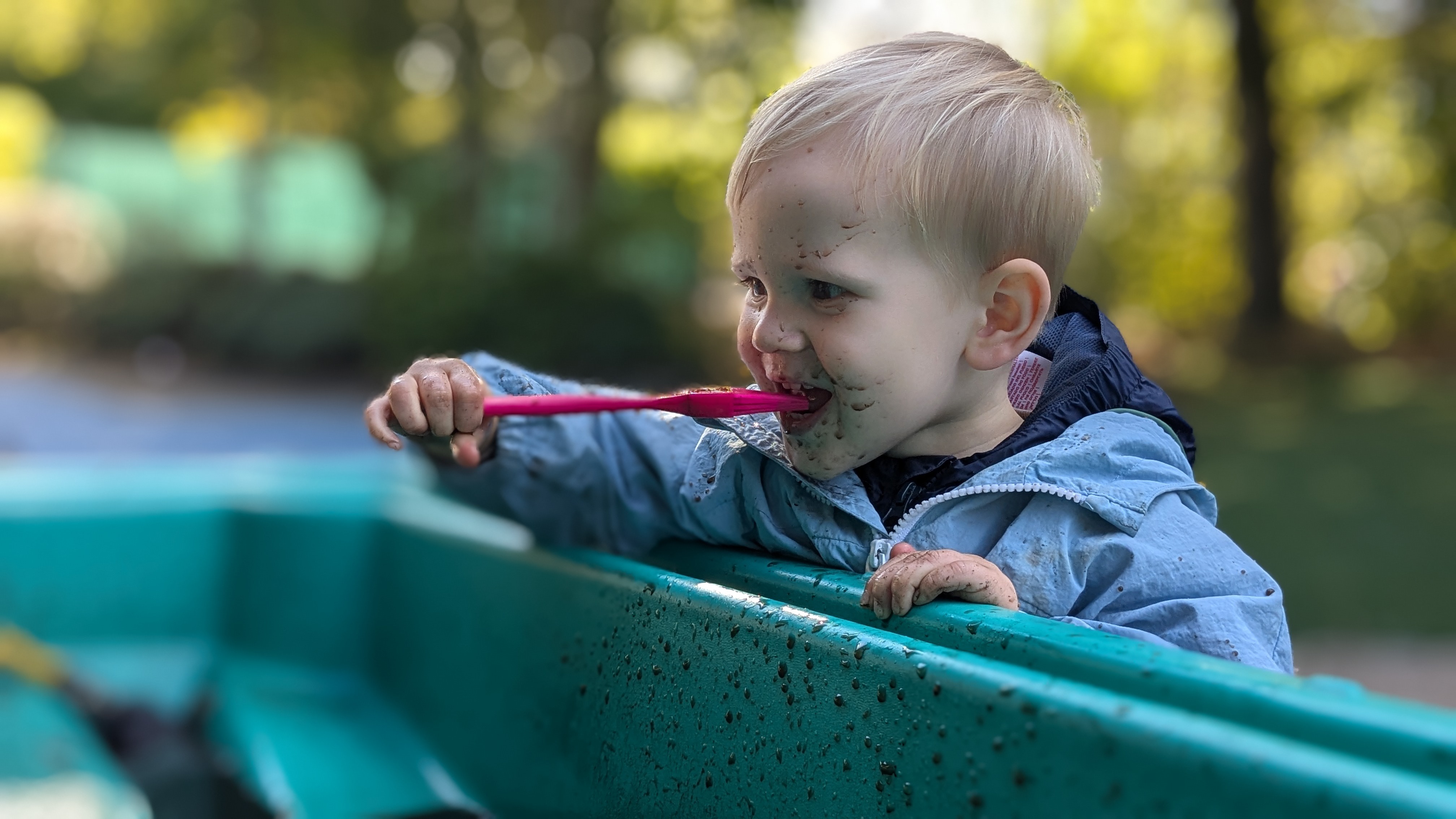 undefined-Little Bats Learning CIC-0