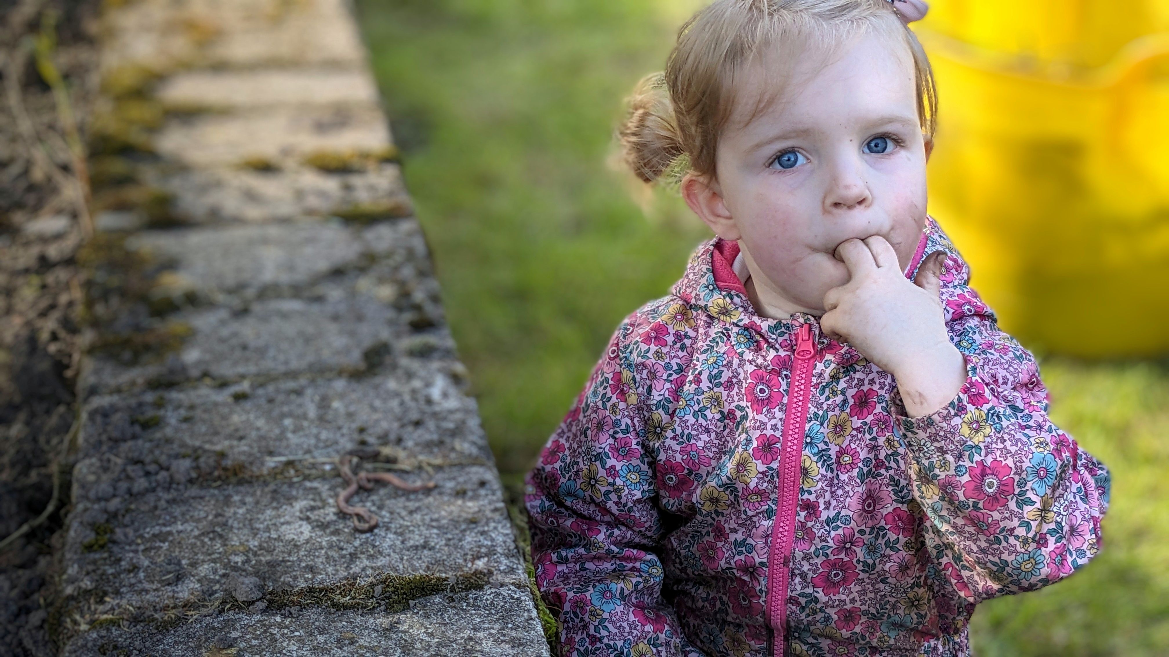 undefined-Little Bats Learning CIC-3