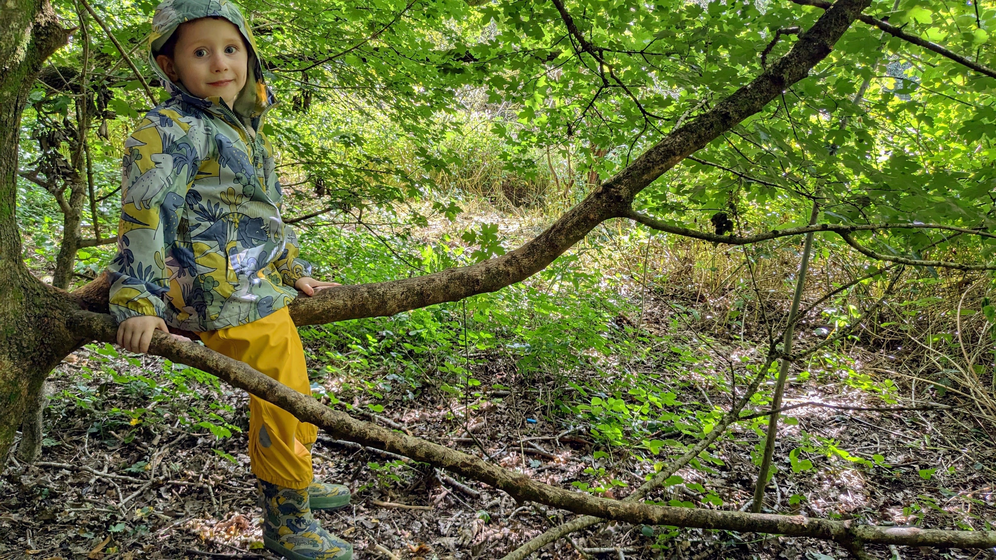 undefined-Little Bats Learning CIC-7