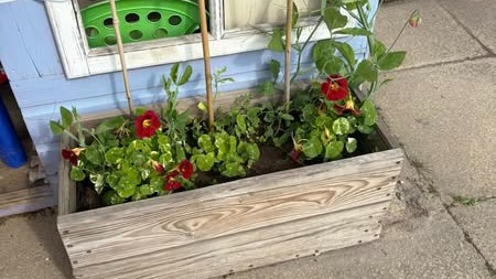 Autumn Term After School Club - Abington Annexe