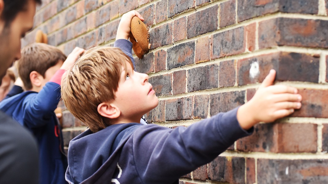 Winter Term Avonmore Parkour 7-10 yrs | Monday 17:30-18:30 — photo 2