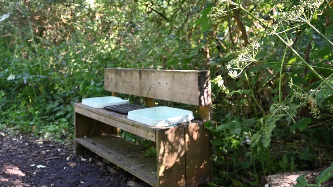 undefined-Nature Nook-4