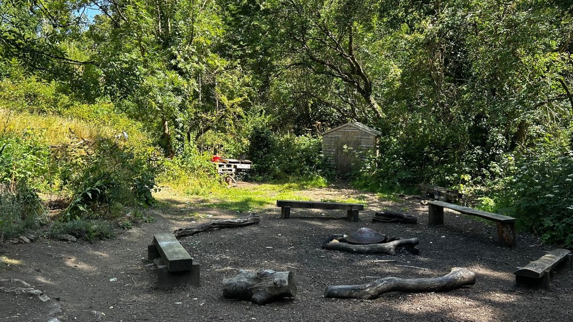 undefined-Nature Nook-3